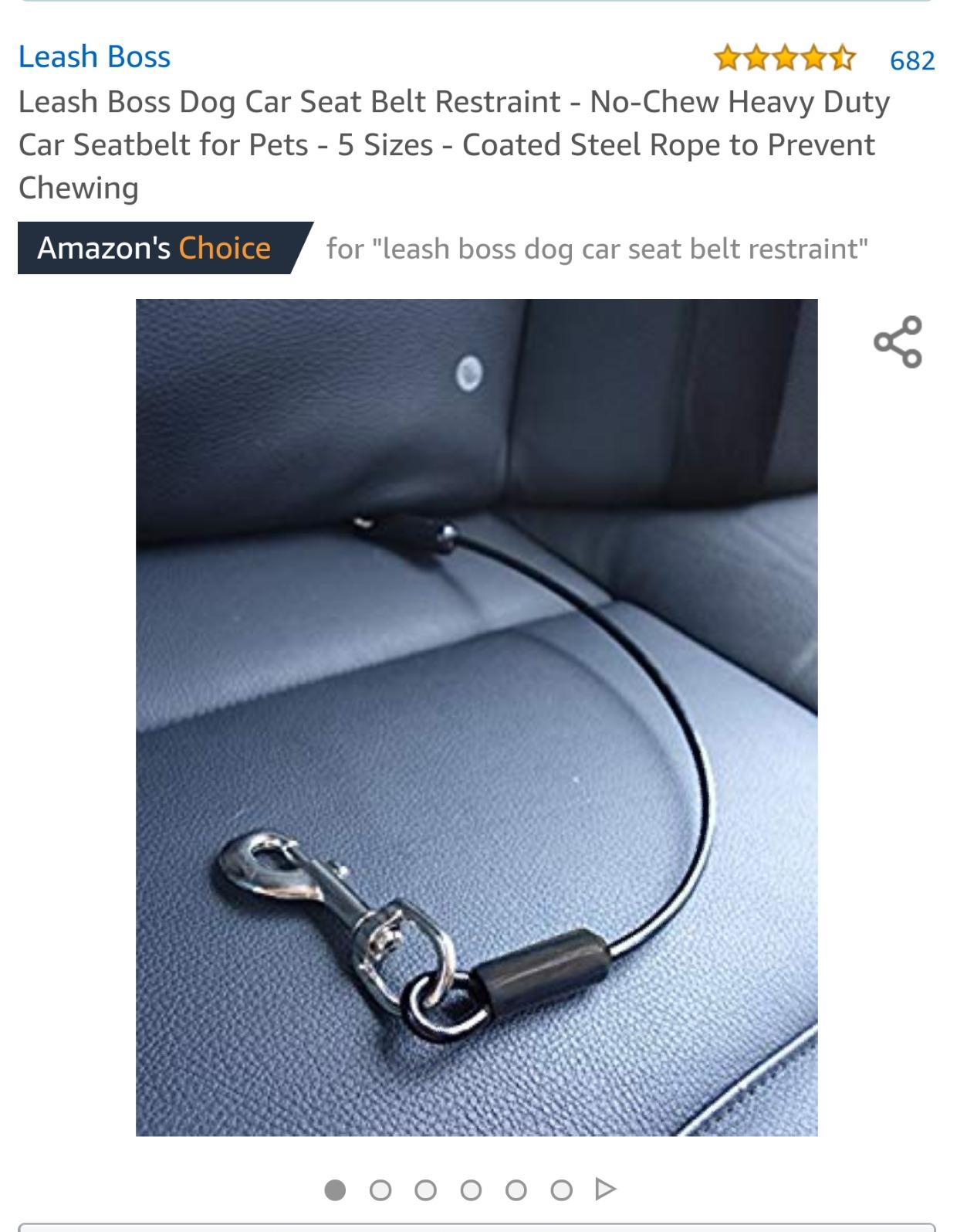 EzyDog Drive Dog Car Harness, Crash Tested and Certified - Medium | US-FMVSS 213 Certified Dog Seat Belt Harness, Adjustable, Padded Comfort Chest Plate, Dual Metal SR Buckles customer photo 2