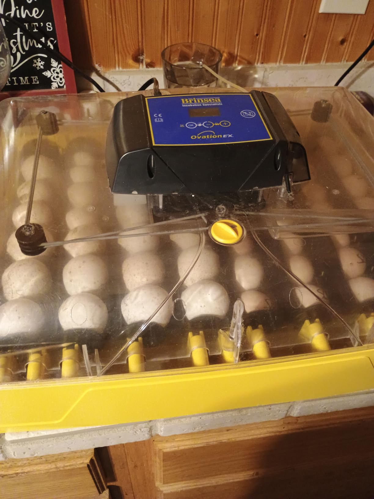 Brinsea Ovation 56 EX Egg Incubator, Automatic Turning & Humidity Control - 50+ years of trusted precision. Built-in automatic humidity, auto-turn & temp alarms take the stress out of hatching 56 eggs customer photo 2