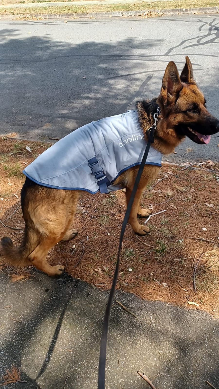 Kurgo Core Cooling Vest, Summer Jacket, Large customer photo 1