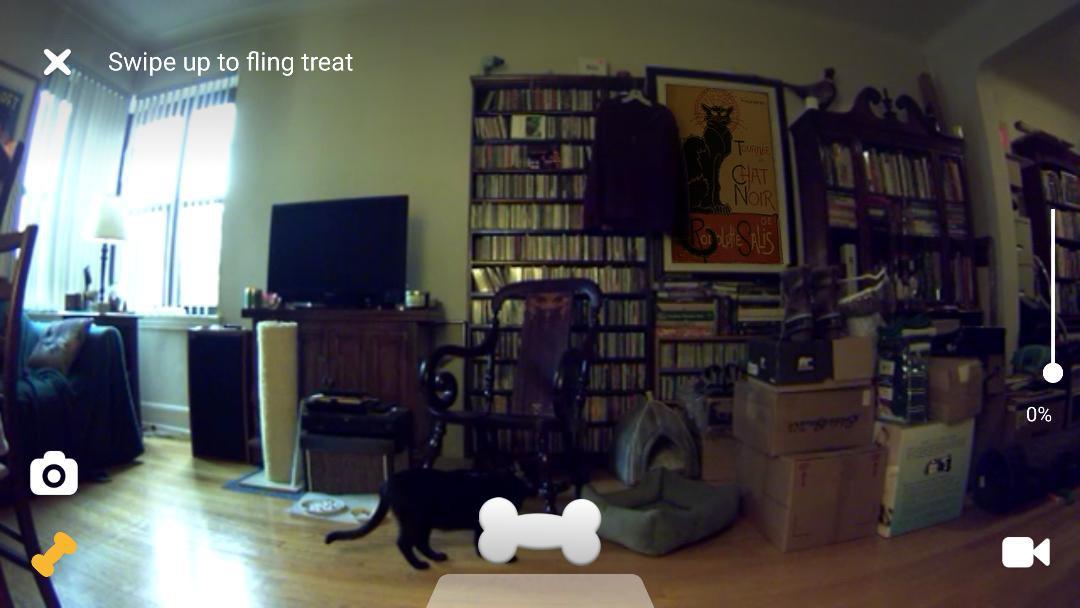 Petcube Bites Pet Camera with Treat Dispenser: HD 1080p Video Monitor, 2-Way Audio, Night Vision, Sound and Motion Alerts. For Dogs and Cats, Matte Silver (PB913NVTD) customer photo 1
