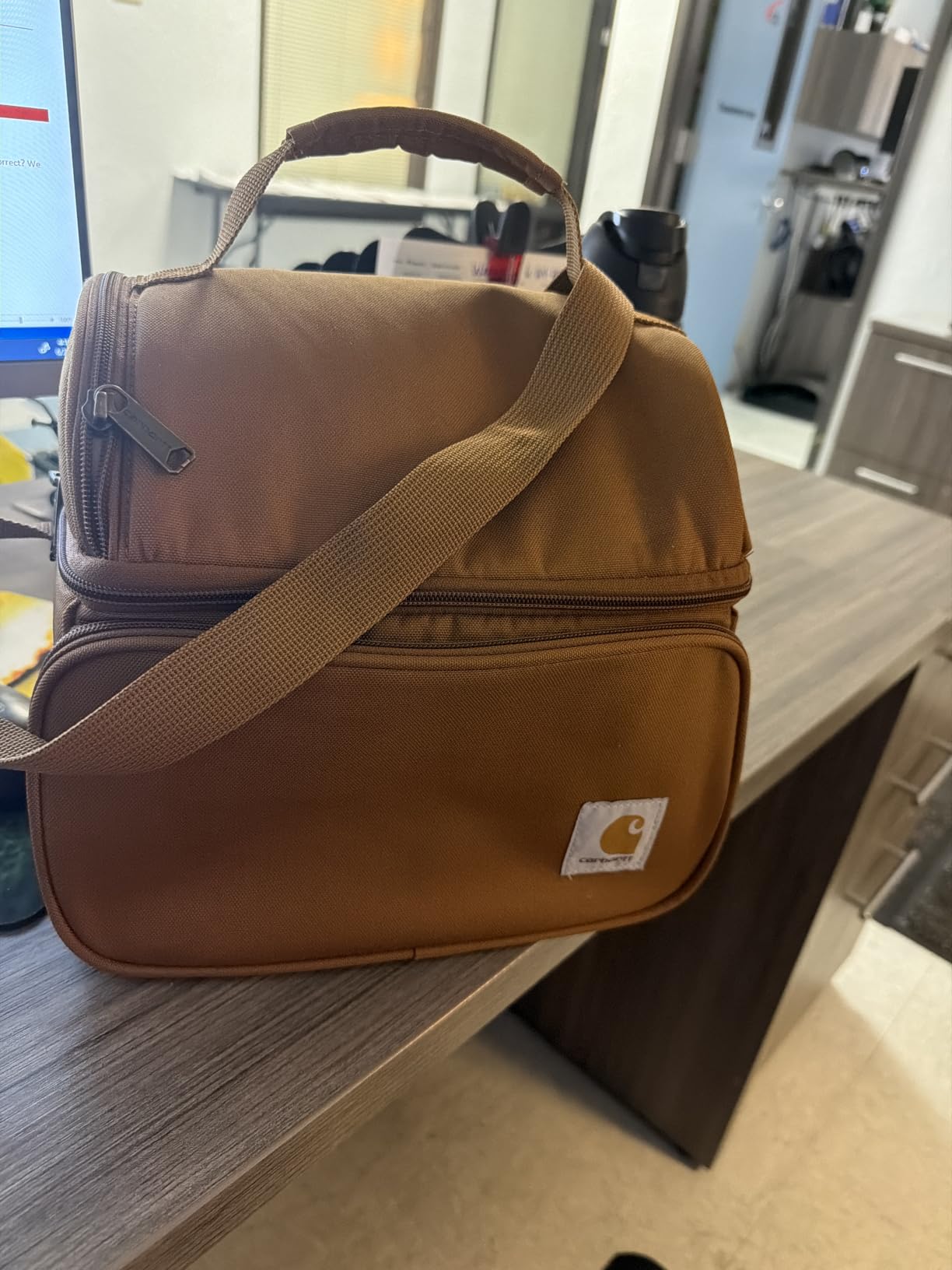 Carhartt Camping Cooler, Worksite Lunch Box, Soft Shell Lunch Bag for Construction Sites, Work and Everyday Use, Brown customer photo 1