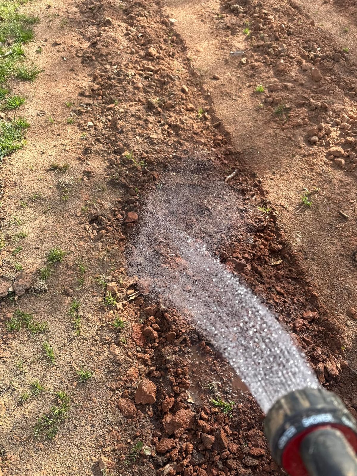 CHAPIN Push Seeder Streamlines Row Planting in Prepared Soil | Rust-resistant 1.5L poly hopper, handles up to 20 seed varieties with interchangeable plates customer photo 1