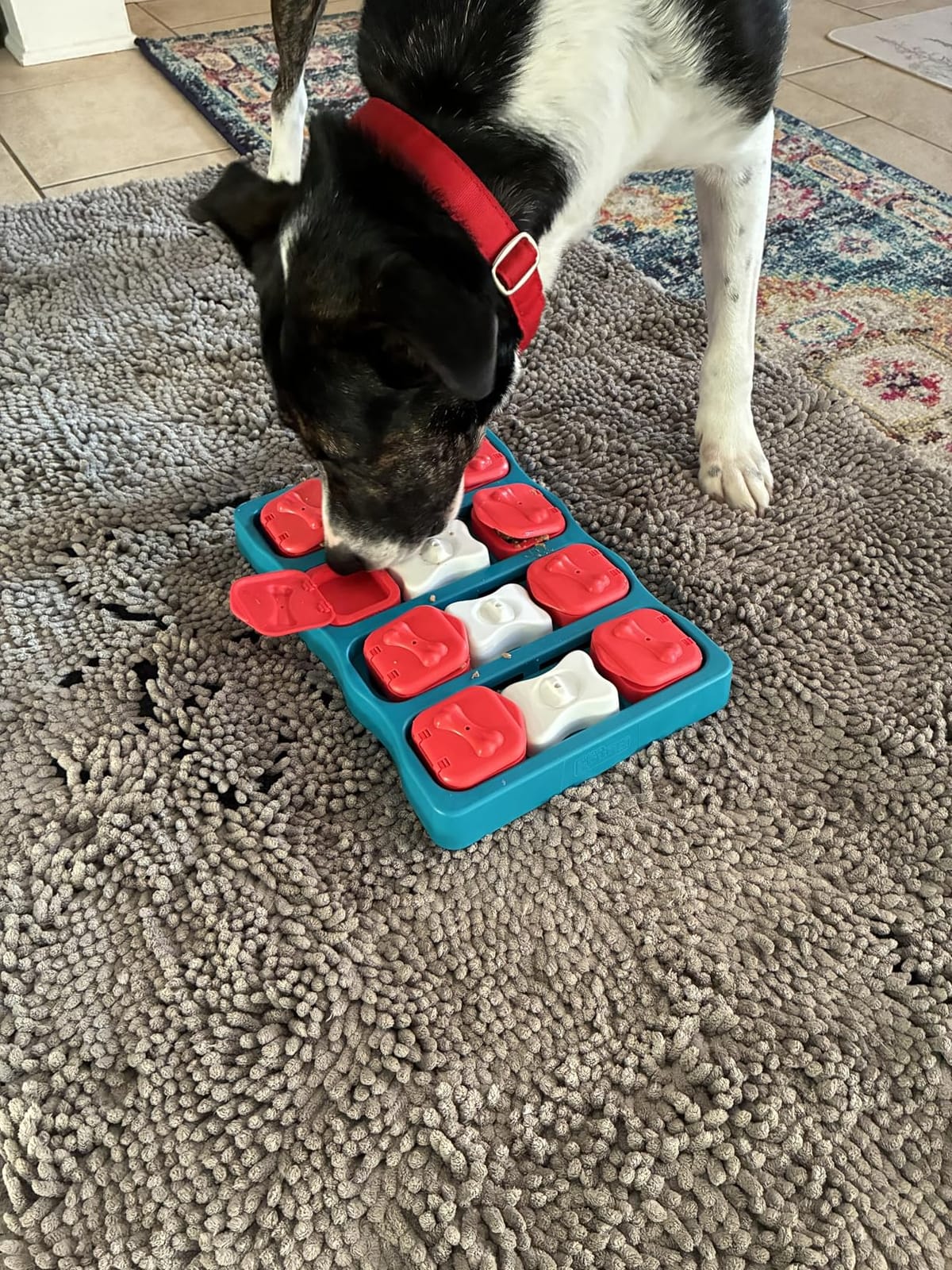 Outward Hound Nina Ottosson Dog Brick Dog Toy Treat Puzzle, 12.8