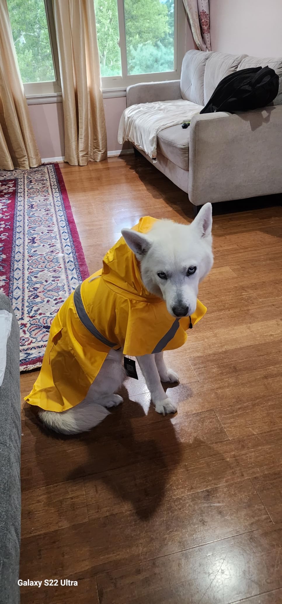 NACOCO Large Dog Raincoat Adjustable Pet Water Proof Clothes Lightweight Rain Jacket Poncho Hoodies with Strip Reflective (XL, Yellow) customer photo 2