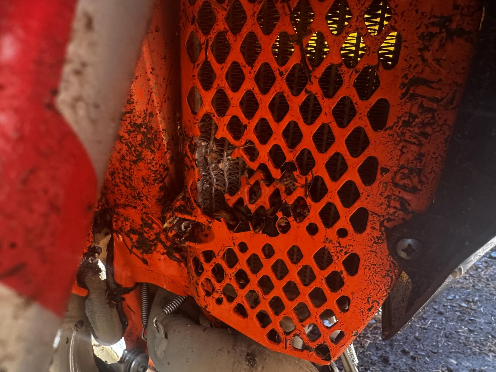 Trail Tech Radiator Guards, Orange - KTM 16-22, (0151-RB03) customer photo 1