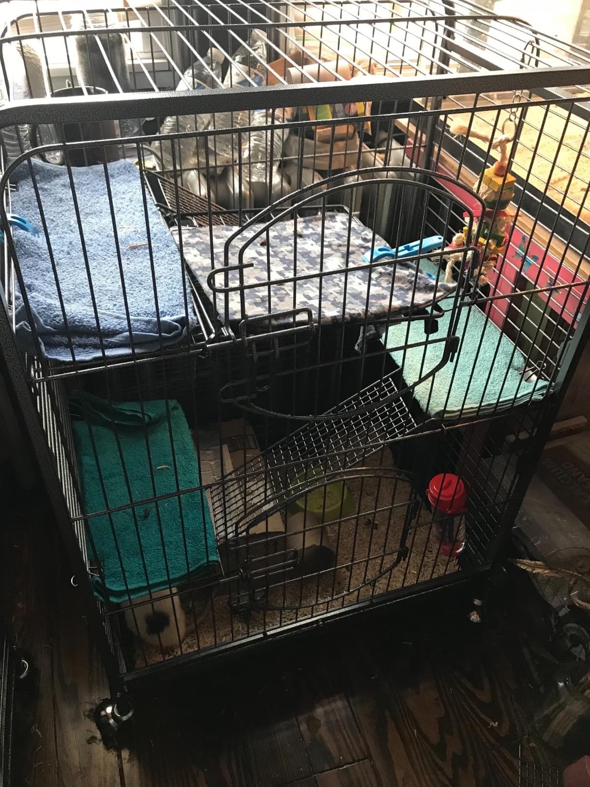 Yaheetech 52-inch Ferret Cage 6 Level Metal Rat Cage with 3 Front Doors/Feeder/Wheels Small Animal Cage for Ferret/Chinchilla/Bunny/Rabbit/Squirrel, Black customer photo 1