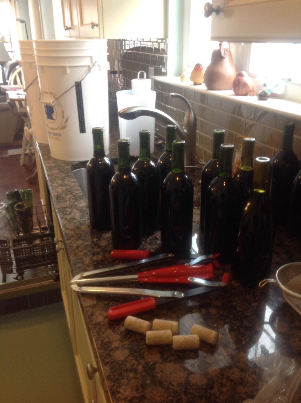 Classic California Pinot Noir Wine Ingredient Kit customer photo 1