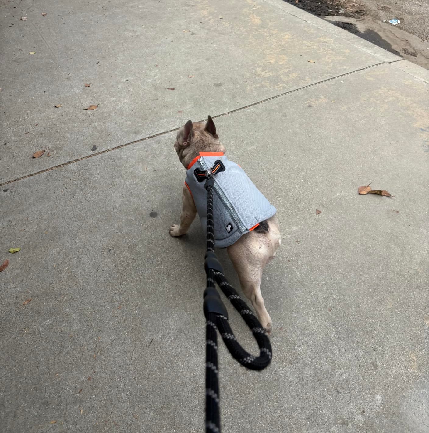 SGODA Dog Cooling Vest Harness Cooler Jacket Grey Green Medium customer photo 2