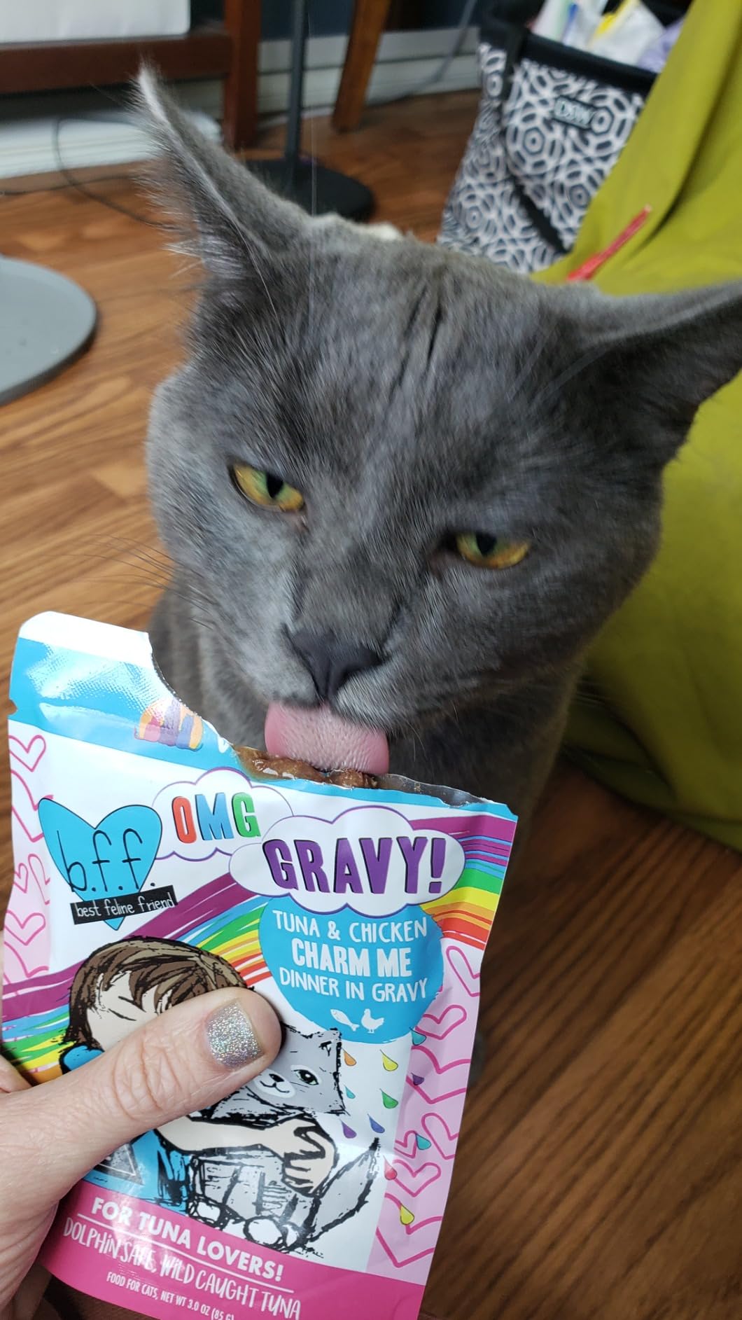 Weruva B.F.F. OMG - Best Feline Friend Oh My Gravy!, Rainbow A Gogo Variety Pack! Cat Food, 3oz Pouch (Pack of 12) customer photo 1