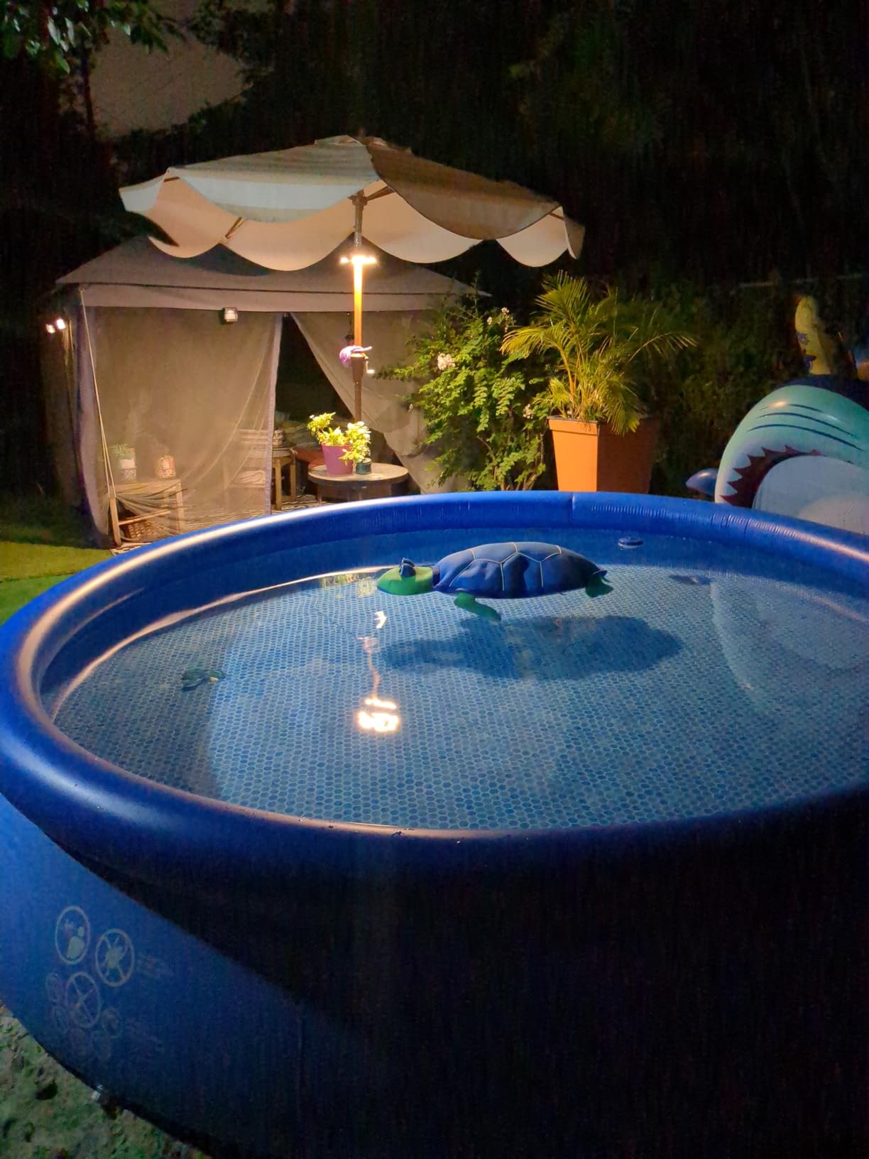 INTEX Easy Set 15 ft x 48in Inflatable Ring Above Ground Pool Set w/Pump customer photo 2