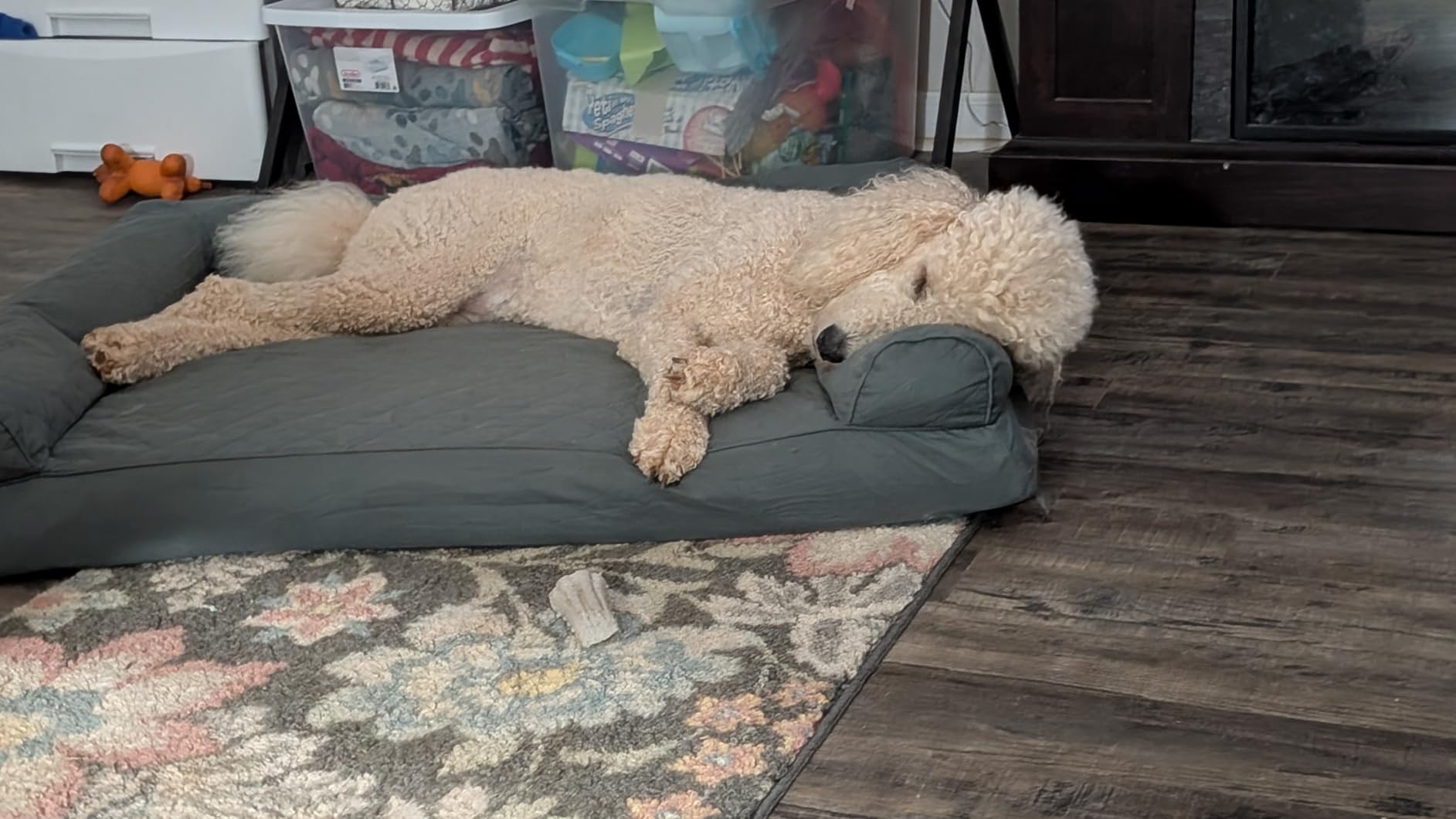 Furhaven Orthopedic Dog Bed for Large Dogs w/ Removable Bolsters & Washable Cover, For Dogs Up to 95 lbs - Faux Fur & Velvet Sofa - Dark Sage, Jumbo/XL customer photo 1
