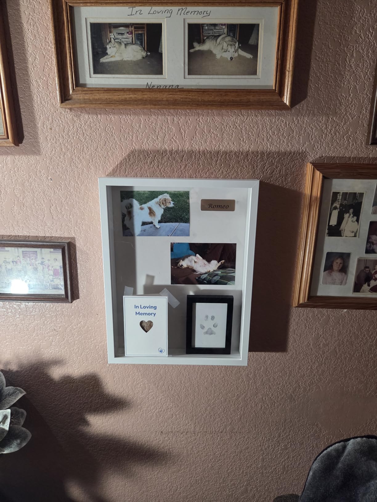 Americanflat 11x14 Shadow Box Frame with Shatter-Resistant Glass - Silhouette Collection - Large Shadow Box Display Case for Tabletop and Wall Display - Black with Soft Felt Back customer photo 1