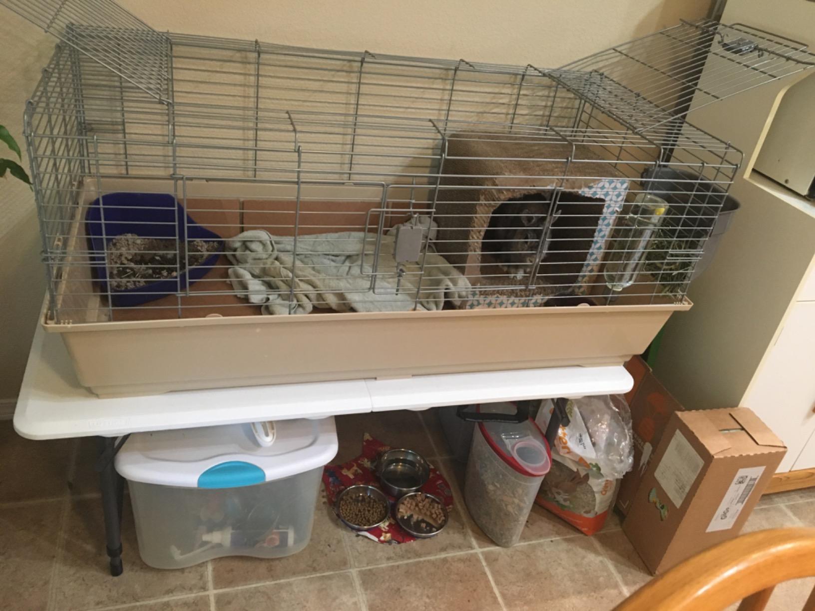 Amazon Basics Top Access Small Animal Habitat for Rabbit, Guinea Pig, Ferret & Chinchilla with Accessories, Jumbo, 48.6