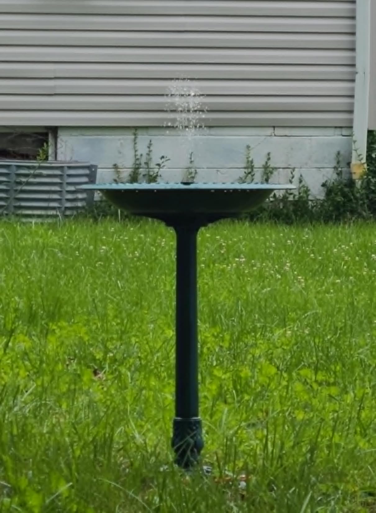 VIVOHOME Bird Bath for Outside, Polyresin Pedestal Birdbath, Green | Weather-Resistant, 20-Inch Bowl, 28-Inch Height, for Outdoor/Garden, Bird-Friendly, Easy to Clean customer photo 2