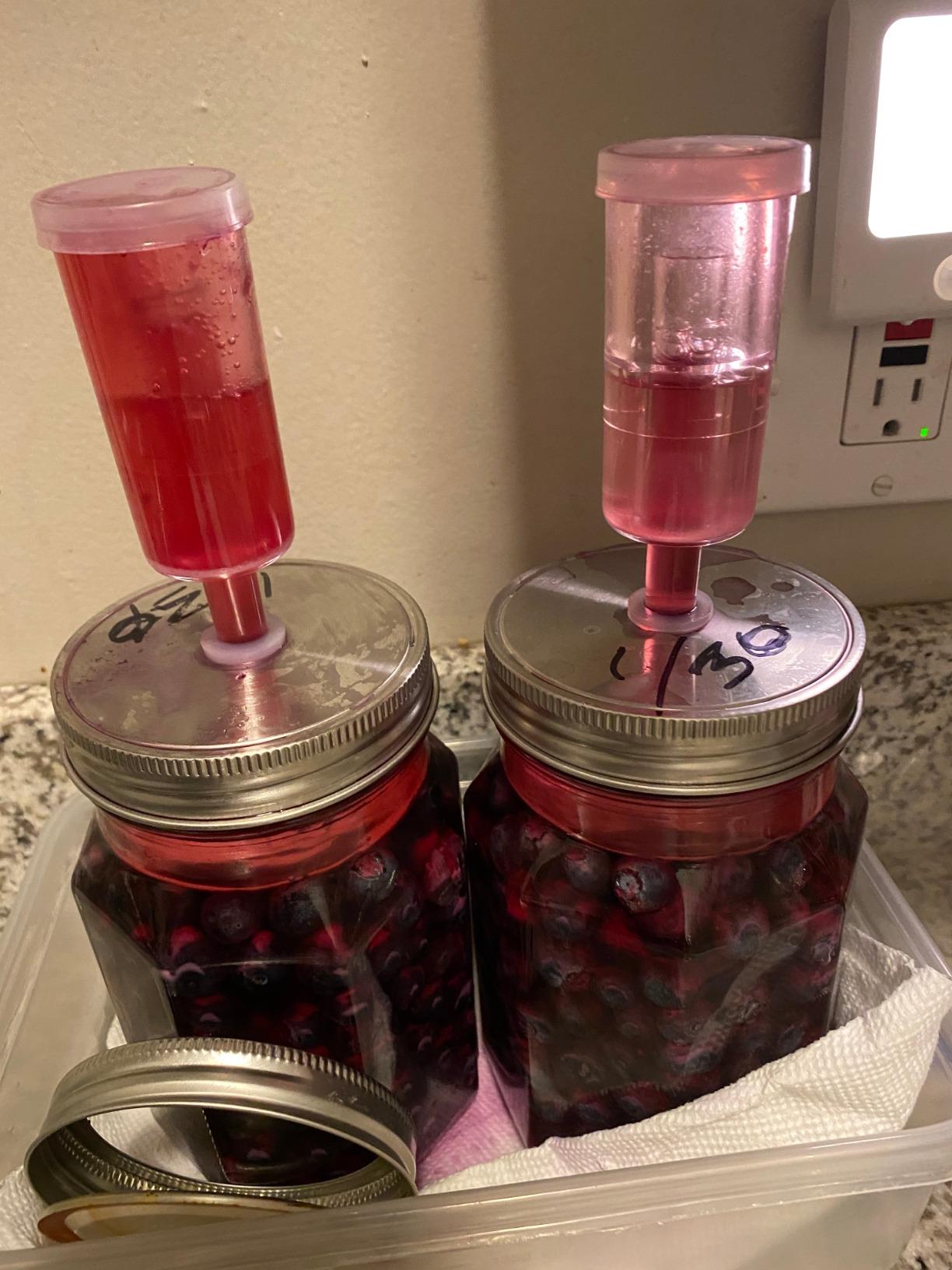 JILLMO Stainless Steel Fermentation Lids for Wide Mouth Mason Jars, 4 Pack | Fermenting Lids with Airlocks and Silicone Grommets for Easy Fermentation of Pickles, Kimchi and Sauerkraut, No Jars Included customer photo 1