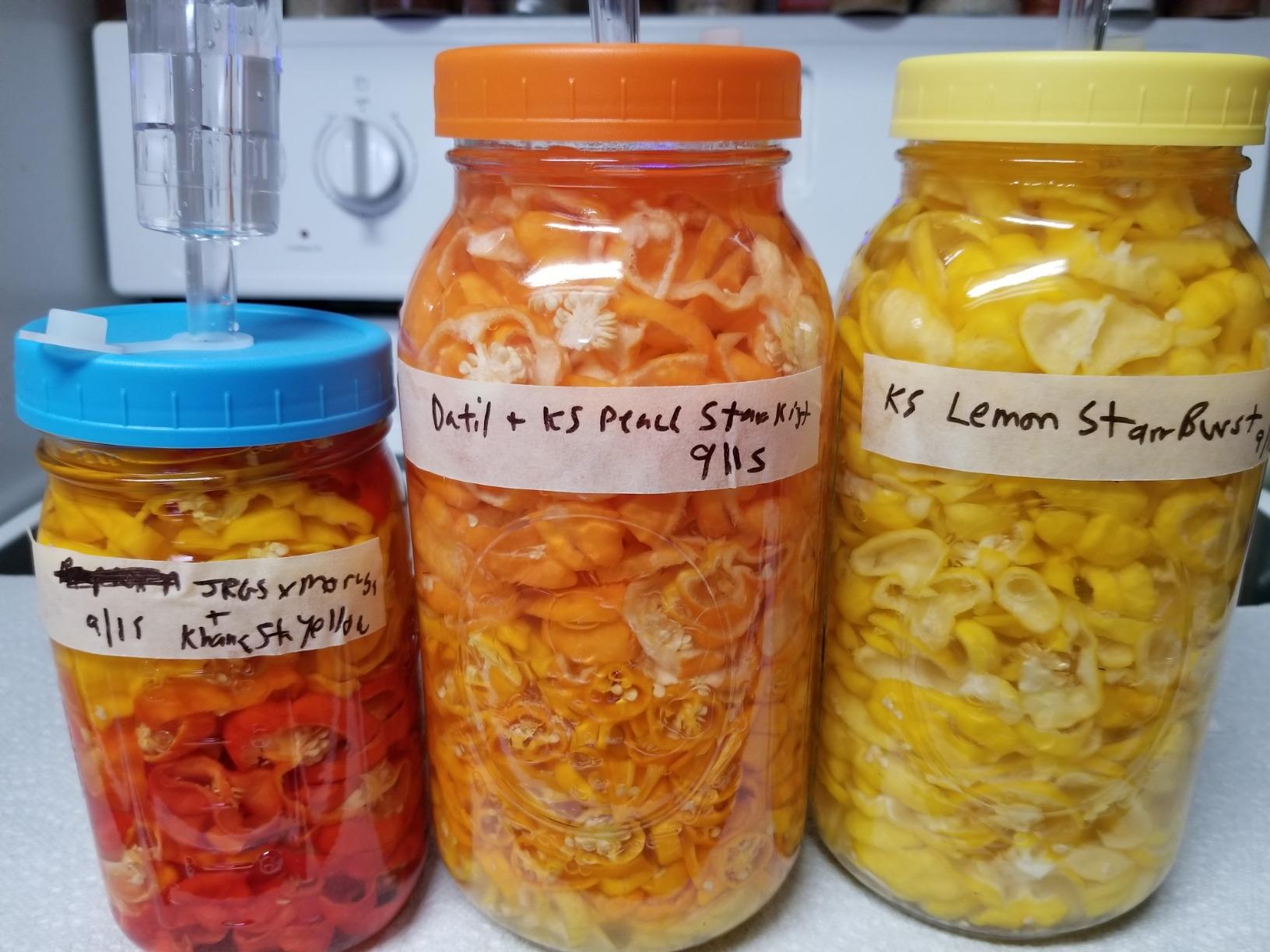 JILLMO Stainless Steel Fermentation Lids for Wide Mouth Mason Jars, 4 Pack | Fermenting Lids with Airlocks and Silicone Grommets for Easy Fermentation of Pickles, Kimchi and Sauerkraut, No Jars Included customer photo 2