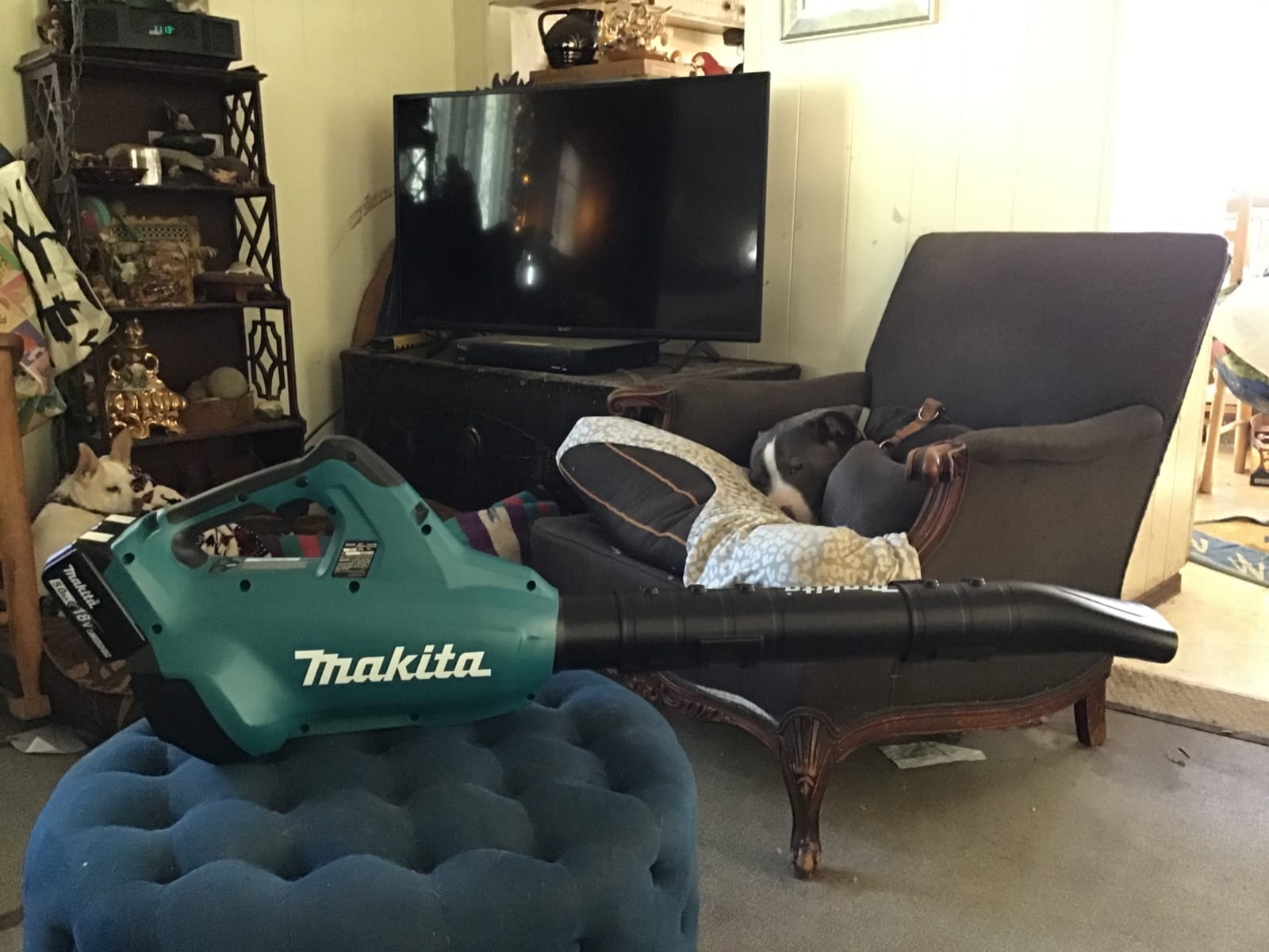 Makita XBU02PT1 36V (18V X2) LXT Brushless Blower Kit with 4 Batteries (5.0Ah) customer photo 2
