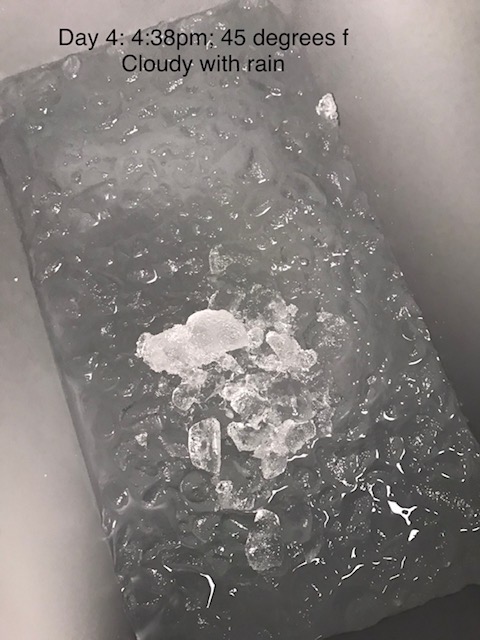 Igloo BMX Cooler, Insulated Hard Shell Ice Chest customer photo 1