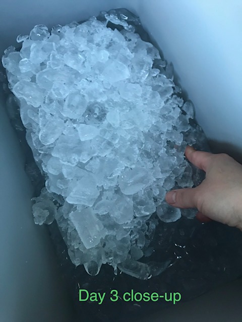 Igloo BMX Cooler, Insulated Hard Shell Ice Chest customer photo 2