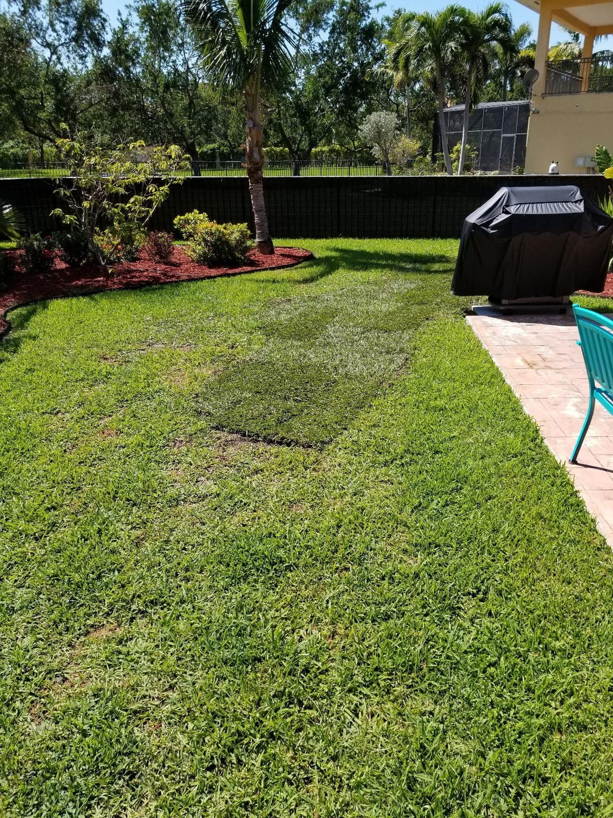 Keyfit Tools SOD Knife Professional Contractor Grade 304 Stainless Steel Blade Sod Cutter Trim New Sod Edging Beds Overgrown Valve Box Sprinkler Heads Like Hunter PGP Raise Repair Remove Sprinklers customer photo 1
