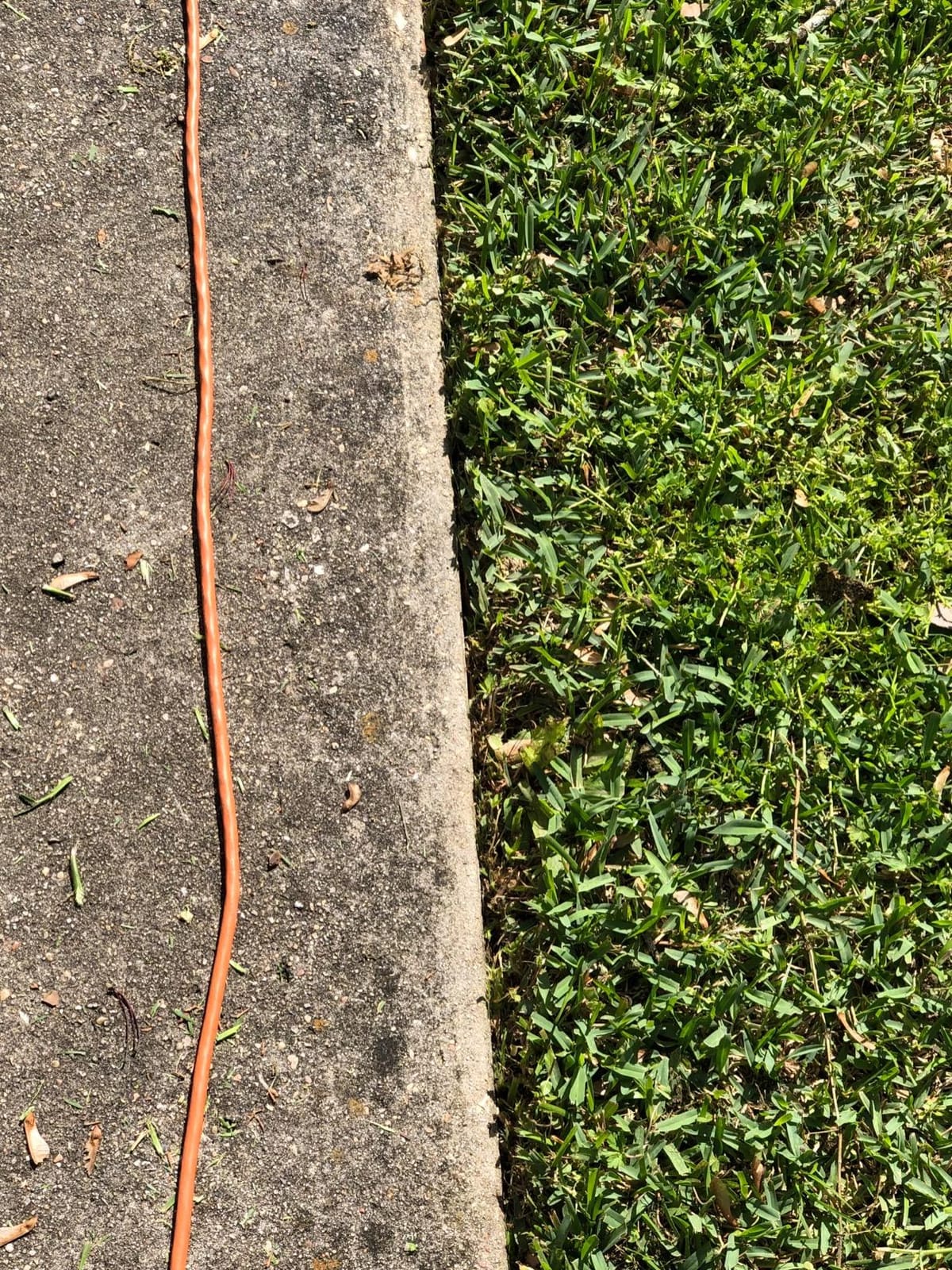 BLACK+DECKER Lawn Edger Trencher 2 in 1, 12 Amp 7.5 in. Electric Edger (LE760FF) customer photo 1