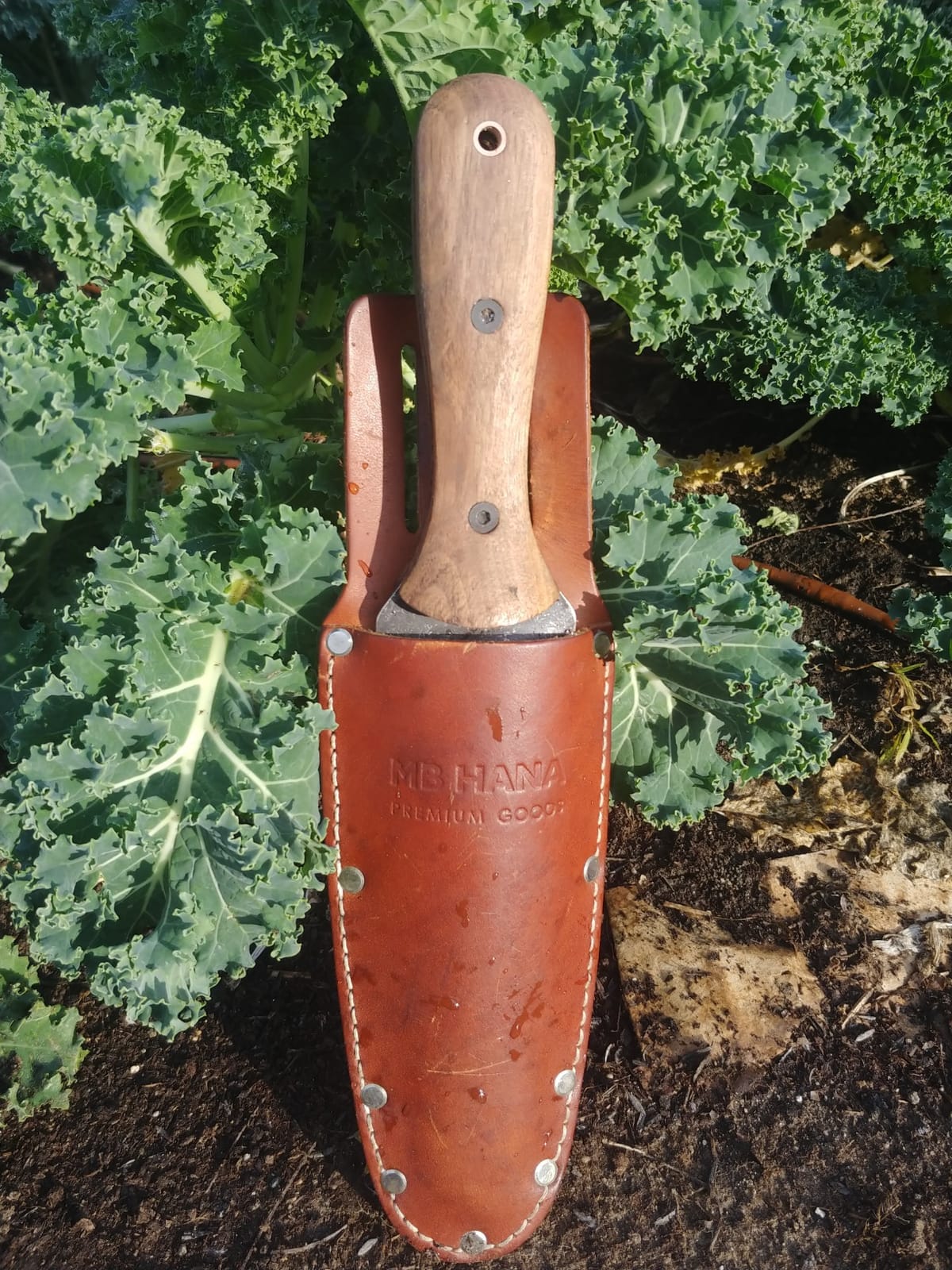 Barebones Hori Hori Classic - Garden Knife - Heat-Tempered Stainless Steel Blade and Walnut Handle customer photo 1