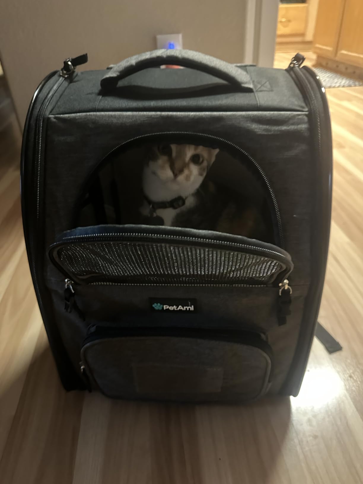 PetAmi Dog Backpack Carrier Airline Approved Cat Pet Puppy Bag, Black customer photo 1