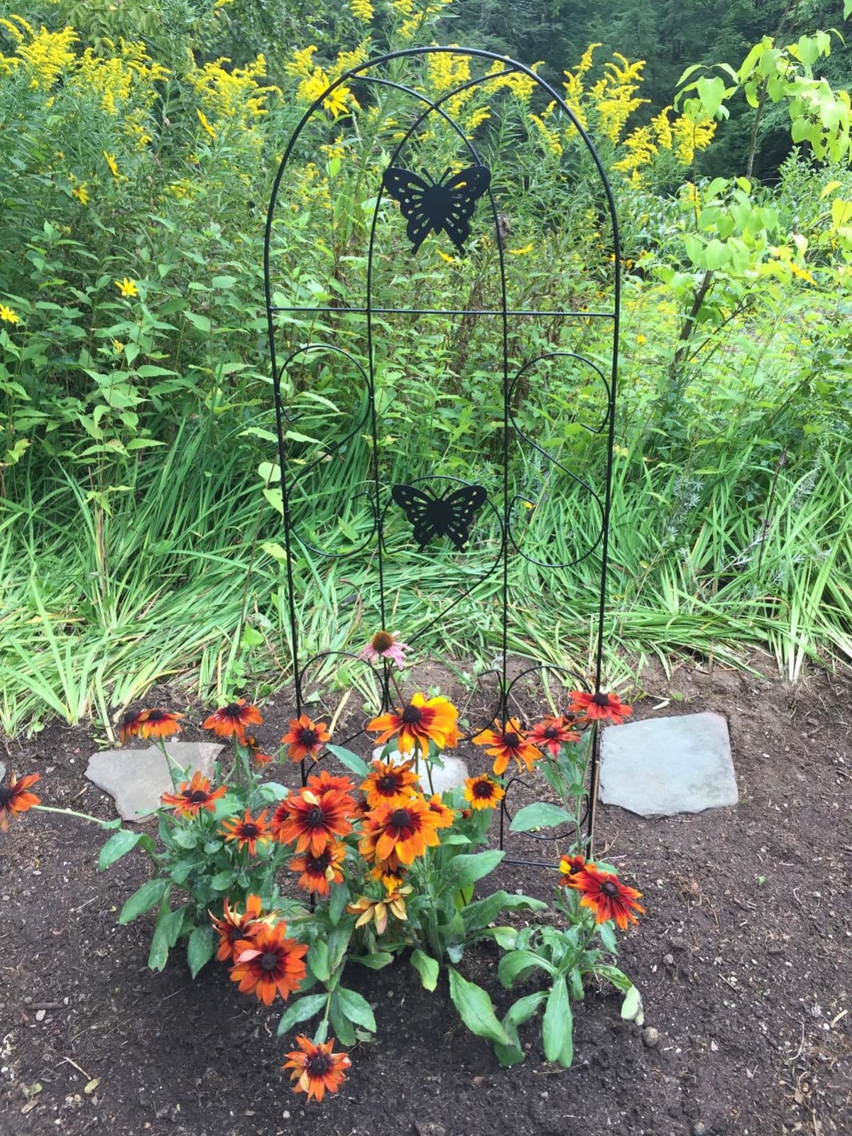 Amagabeli Garden Trellis for Climbing Plants 47