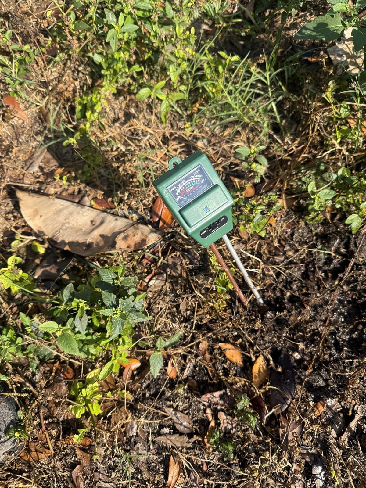 SONKIR Soil pH Meter, MS02 3-in-1 Soil Moisture/Light/pH Tester Gardening Tool Kits for Plant Care, Great for Garden, Lawn, Farm, Indoor & Outdoor Use (Green) customer photo 1