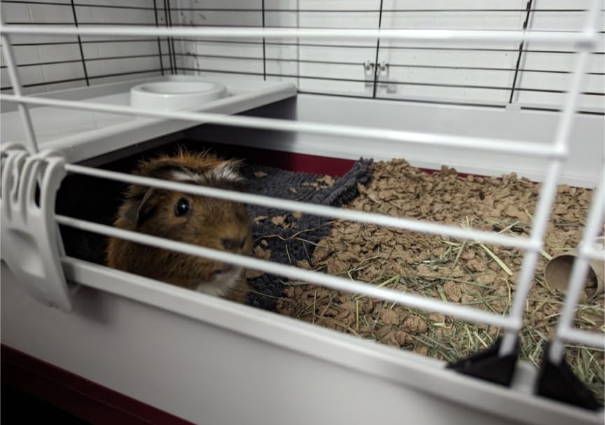Midwest Homes for Pets Deluxe Rabbit & Guinea Pig Cage, X-Large, White & Red customer photo 1