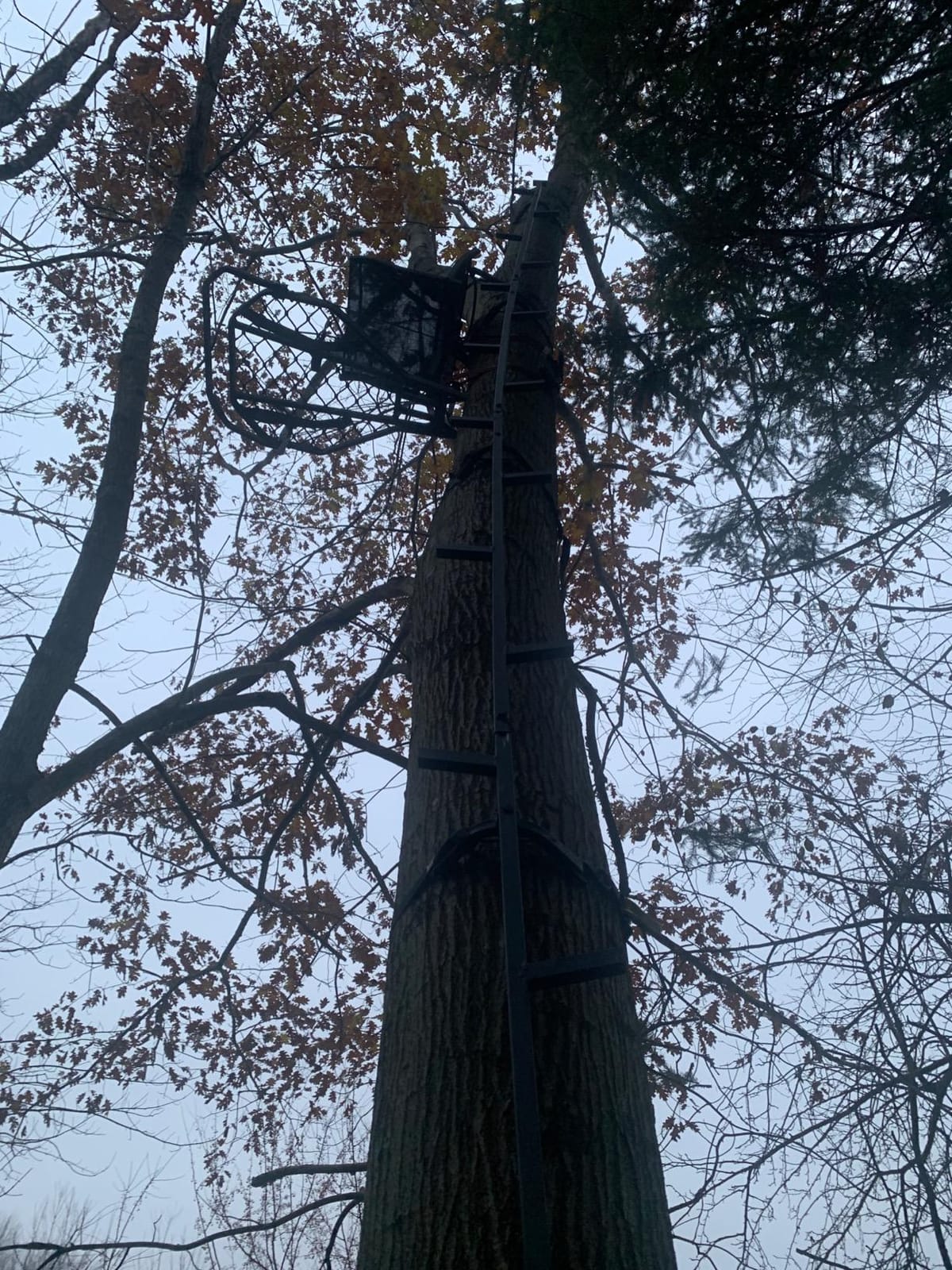 Hawk Kickback LVL Hang-On Deer Hunting Tree Stand, Deer Stand customer photo 2