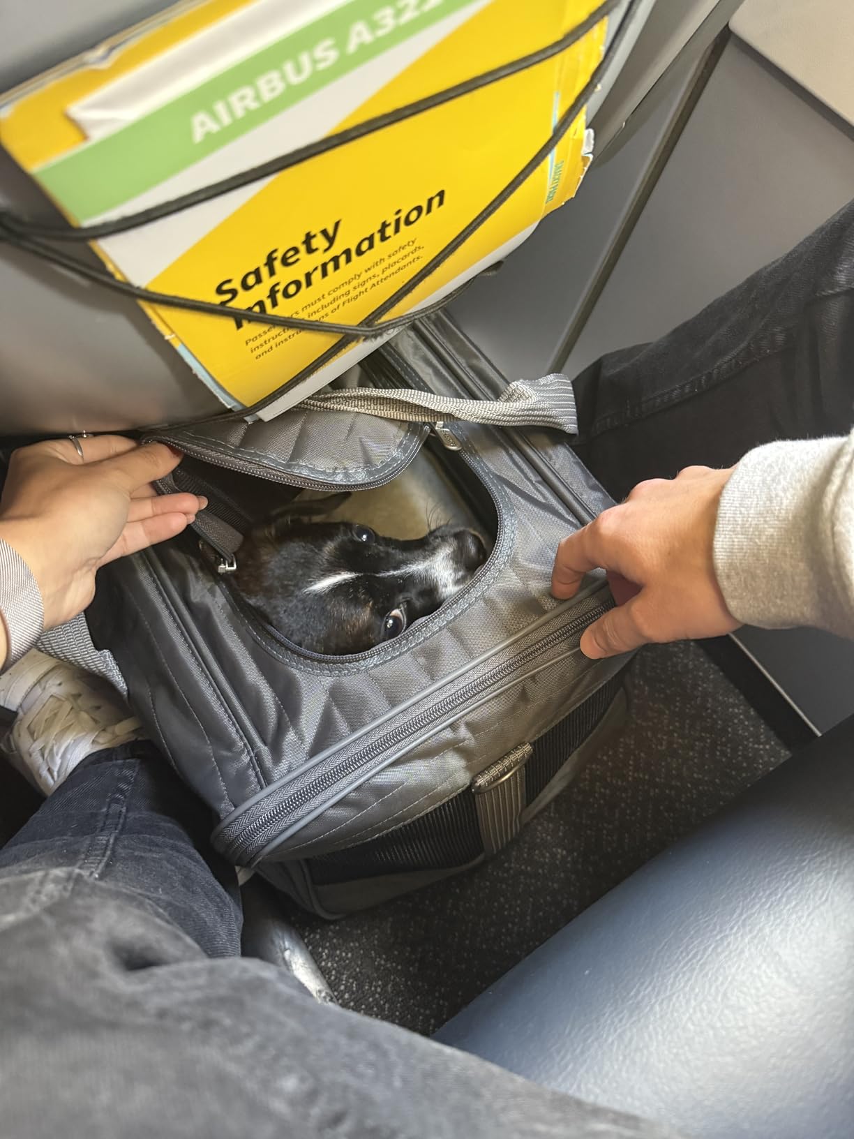 Sherpa Pet Carrier Airline Approved with Spring Wire Frame - Cat Carrier and Dog Carriers for Airline Travel and Vet Visits, Mesh Ventilation, Locking Zippers - Charcoal Grey, Large customer photo 2