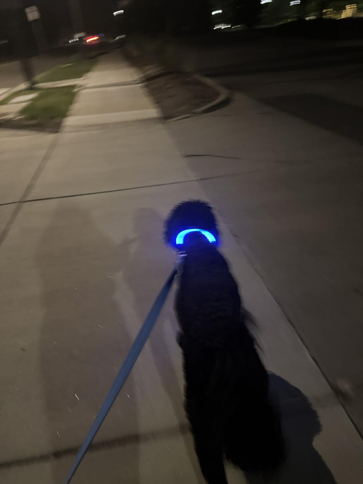 Led Dog Collar, BSEEN USB Rechargeable Flash Light up Dog Collar | Pet Safety Necklace Makes Your Beloved Dogs Be Seen at Night for Small Medium Large Dogs(Green) customer photo 2