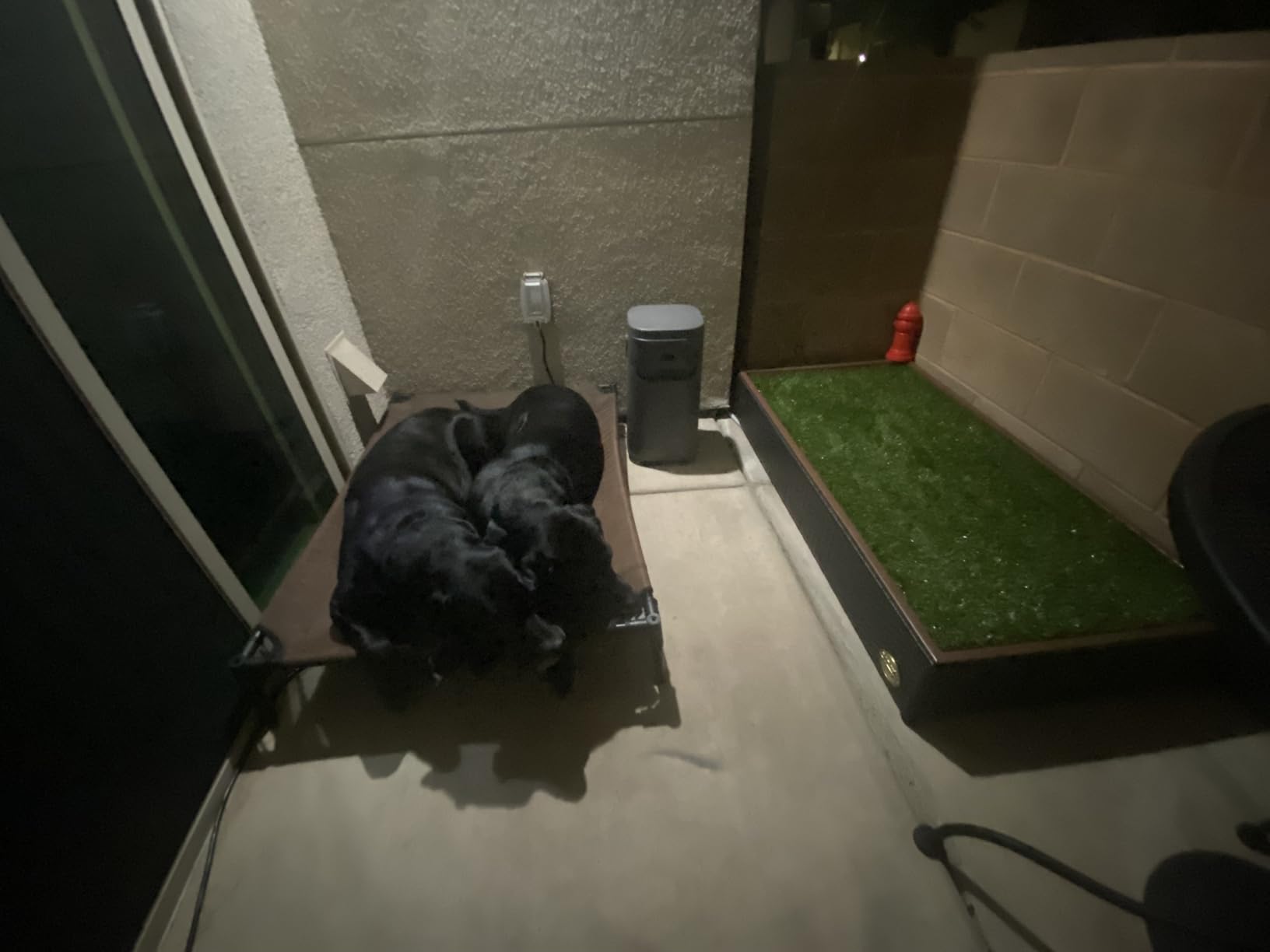 Porch Potty Small Indoor & Outdoor Dog Potty System with Artificial Grass, Quick-Draining Base & Drainage Hose – Reusable Dog Grass Pad for Apartments, Balconies, Patios & RVs customer photo 2