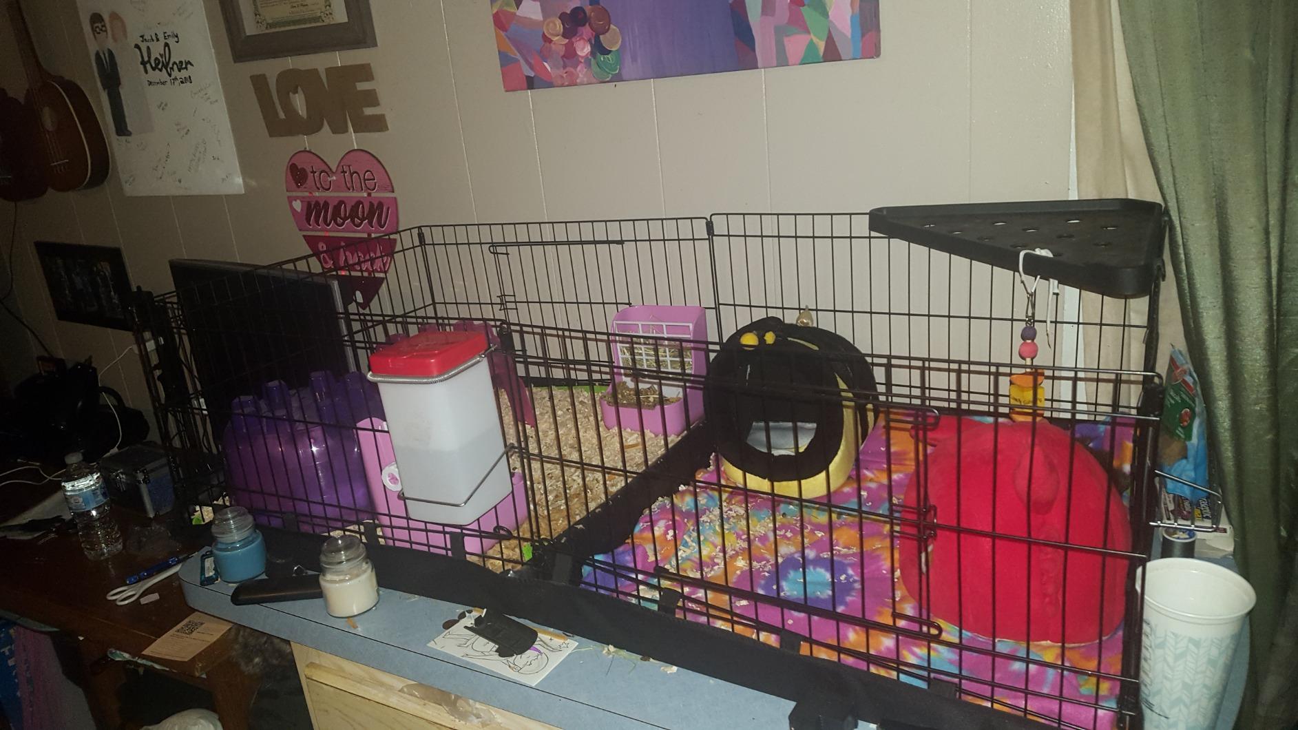 Amazon Basics Leakproof Canvas Bottom Guinea Pig Cage, Easy to Clean Small Animal Habitat with Divider Set, Indoor/Outdoor, Portable, No Tools Needed, 47.6