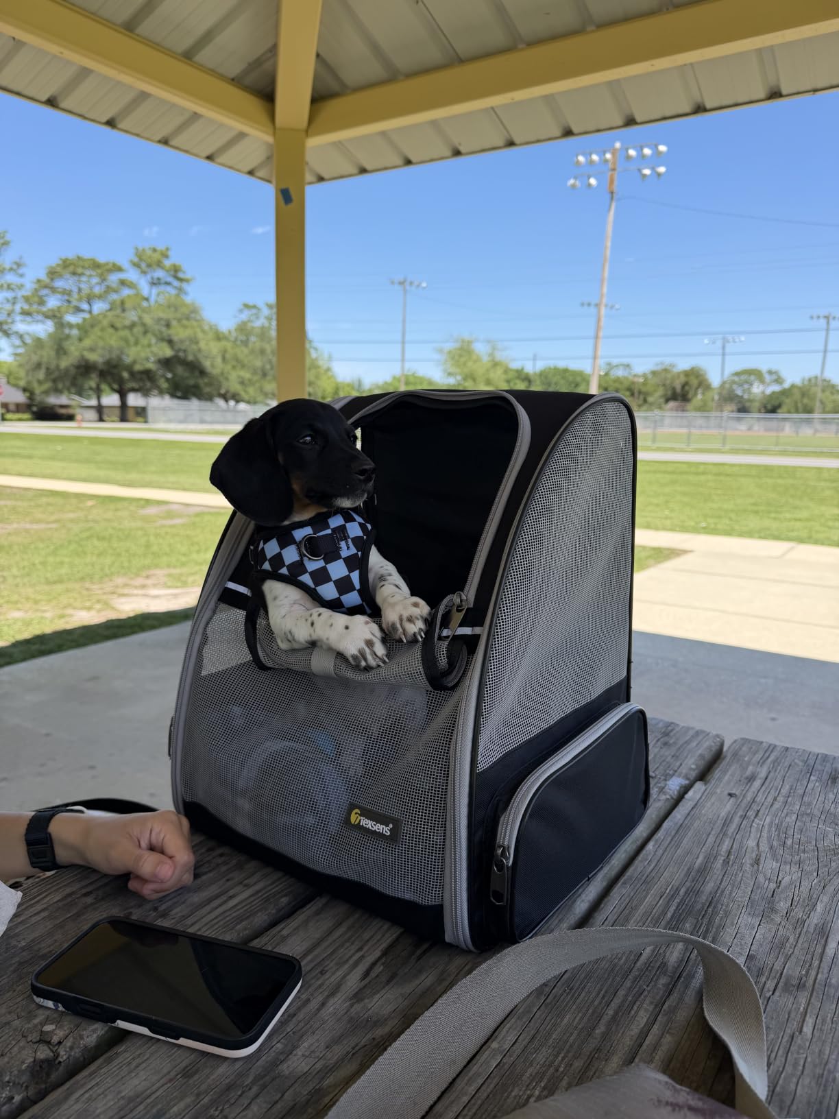 Texsens Innovative Traveler Bubble Backpack Pet Carriers for Cats and Dogs (Black) customer photo 1