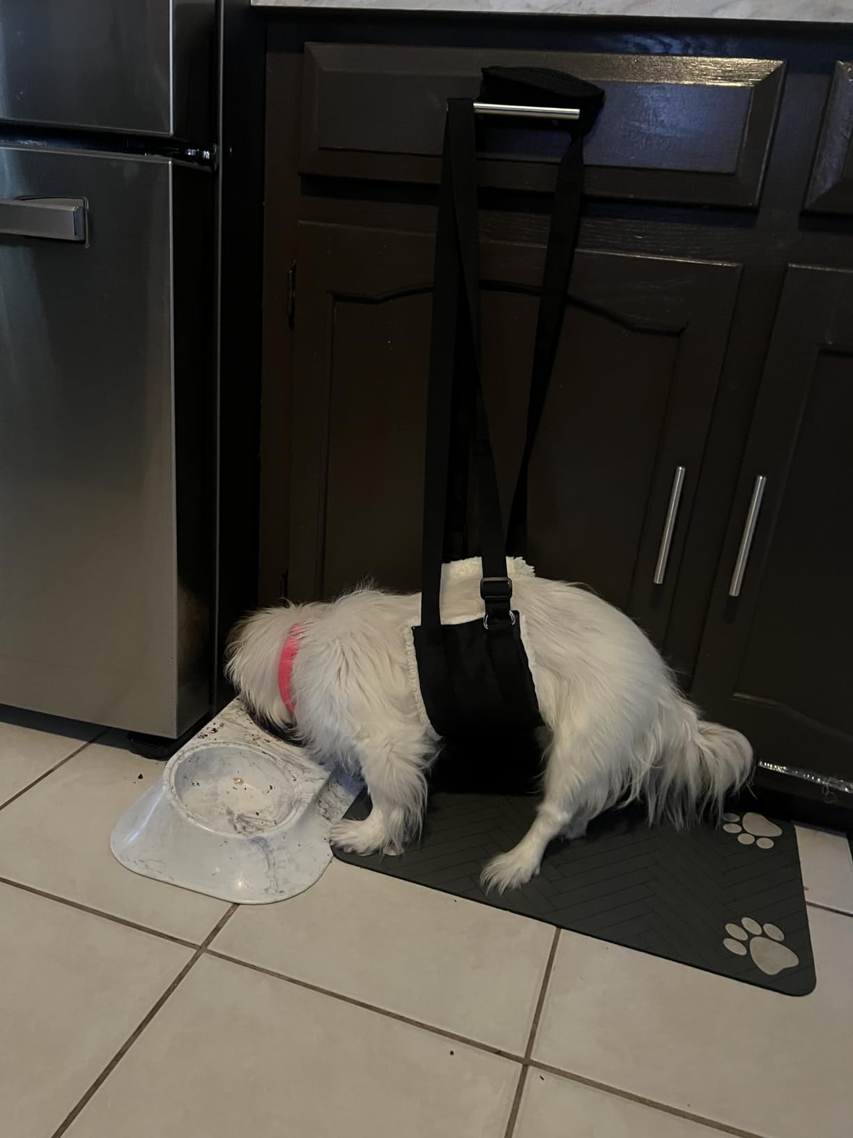 Adjustable Dog Sling for Large Dogs Hind Leg Support Weak Legs Mobility Aid | Dog Lift Harness, Helps Seniors, Injured, Disabled and After ACL Surgery Dogs, Daily Walk/ Stairs, Soft Padded, Easy to Use customer photo 1