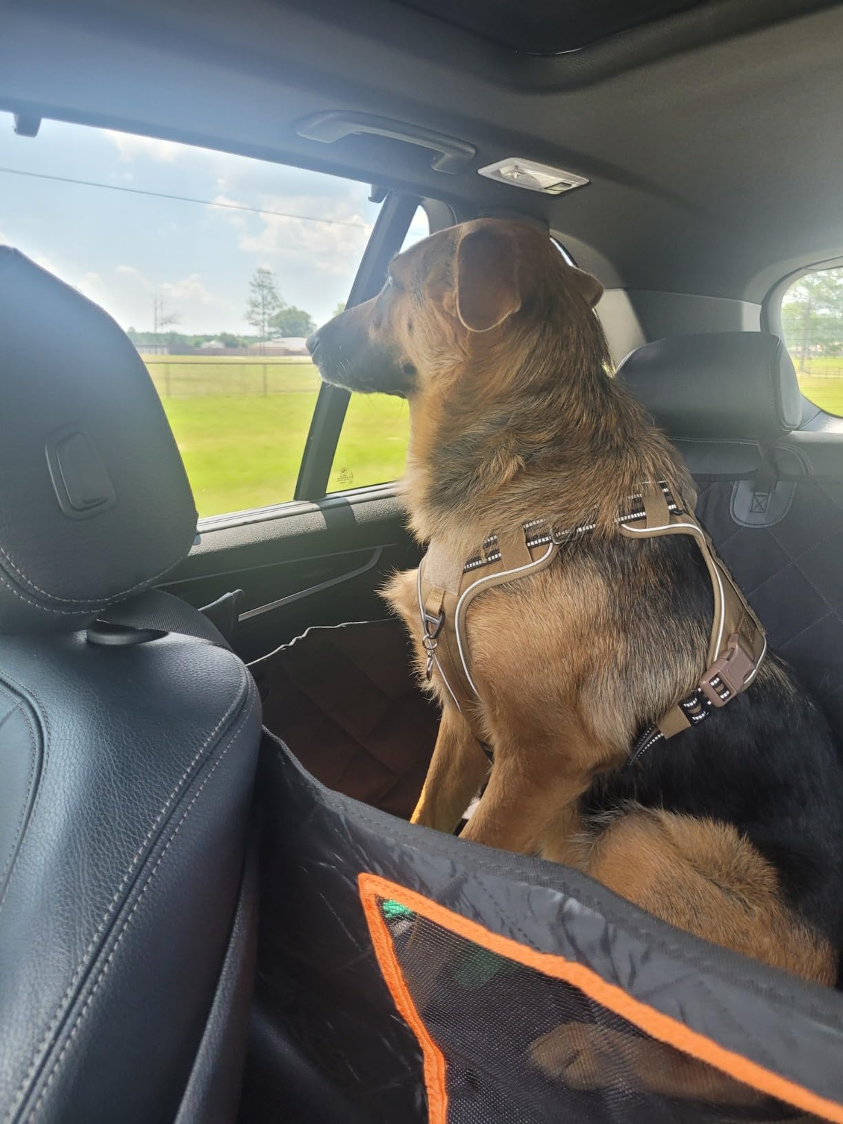 Kytely Dog Car Seat Cover for Back Seat, Waterproof Hammock for Car&SUV | Side Flaps with Zippers, Mesh Window, 600D Oxford, Anti-Scratch Nonslip Backseat Protector, Dog Seat Belt Included customer photo 2