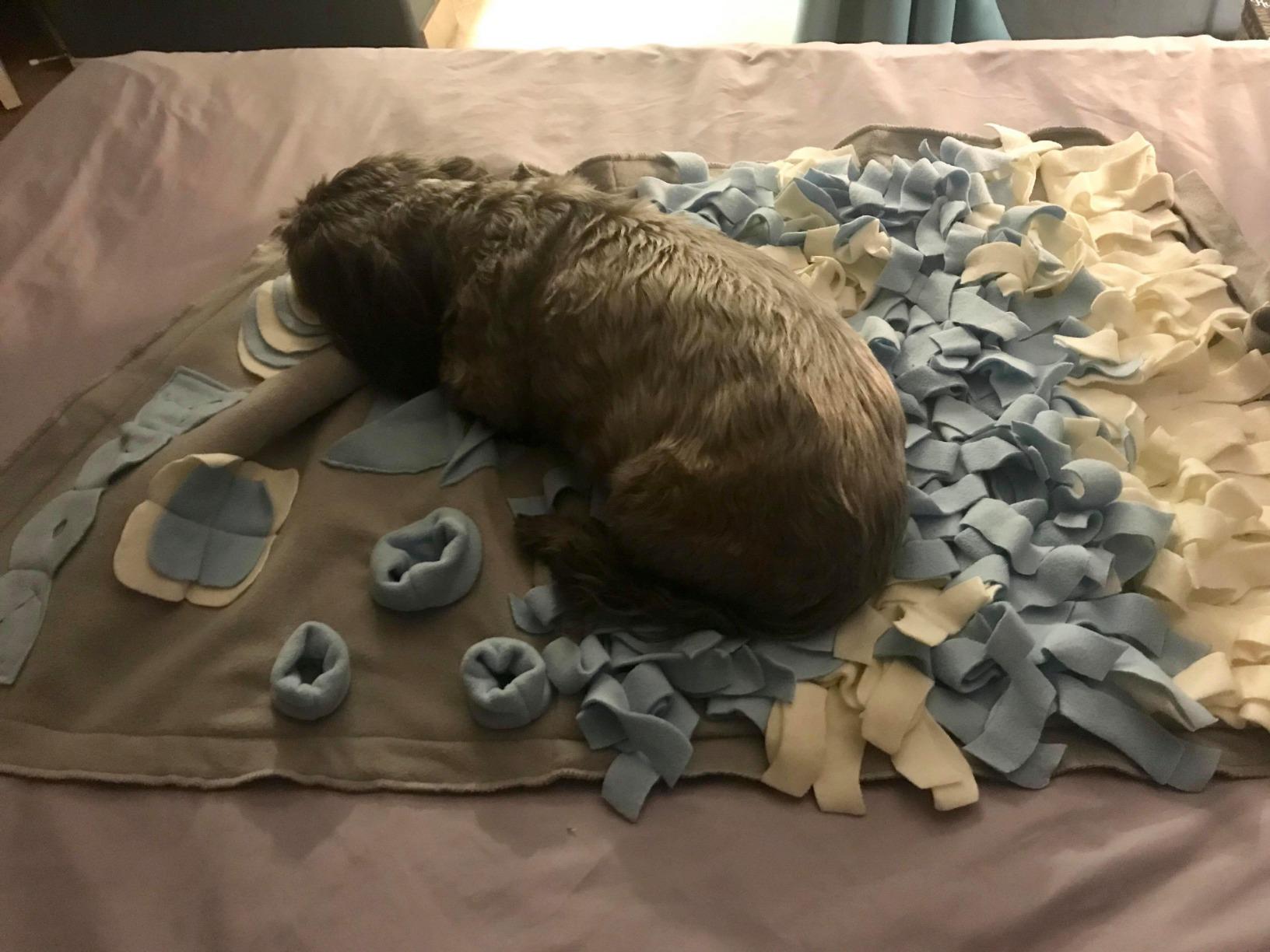 Snuffle Mat for Dogs: Slow Food Interactive Experience | 7 Enrichment Foraging Games | Washable 1000 Times - 22x38 inch - Grey customer photo 2