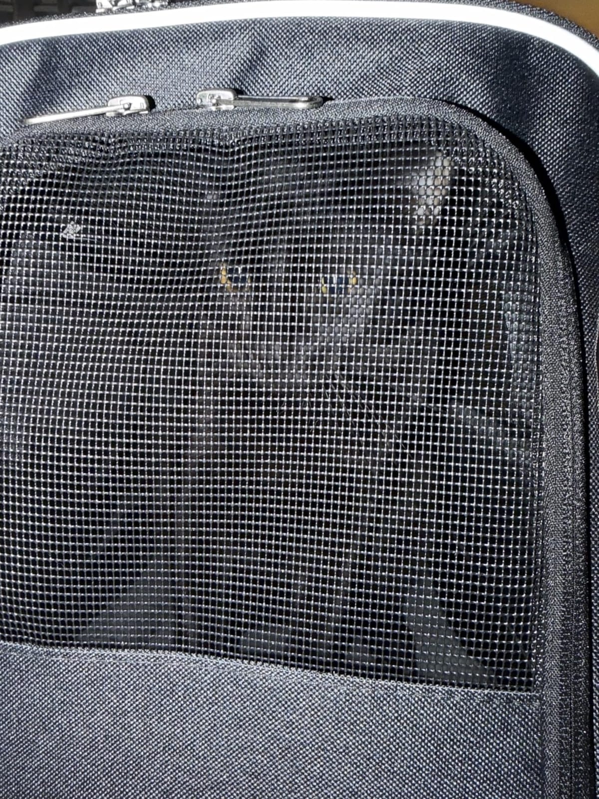 Morpilot Cat Carrier Soft for Large Medium Cats and Puppy up to 20lbs | with Dual-Sided Cushion, Secure Buckle and Foldable Bowl, Dog Carriers for Small Dogs - Pet Carrier (Dark Gray) customer photo 2