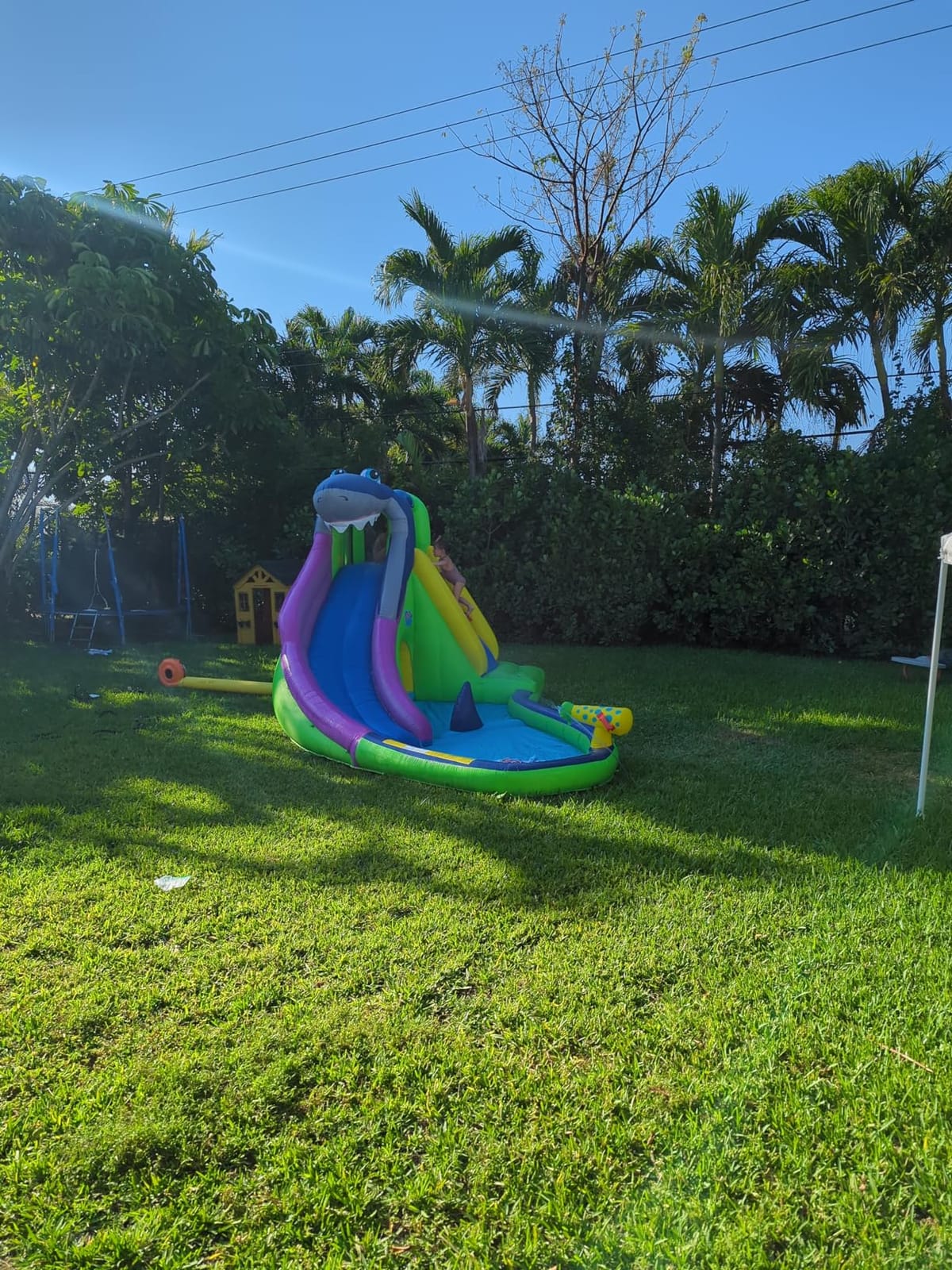 ACTION AIR Inflatable Water Slide, Shark Bounce House with Slide for Wet and Dry, Playground Sets for Kids Backyard, Water Spray & Water Pool, Durable Sewn with Extra Thick Material customer photo 2
