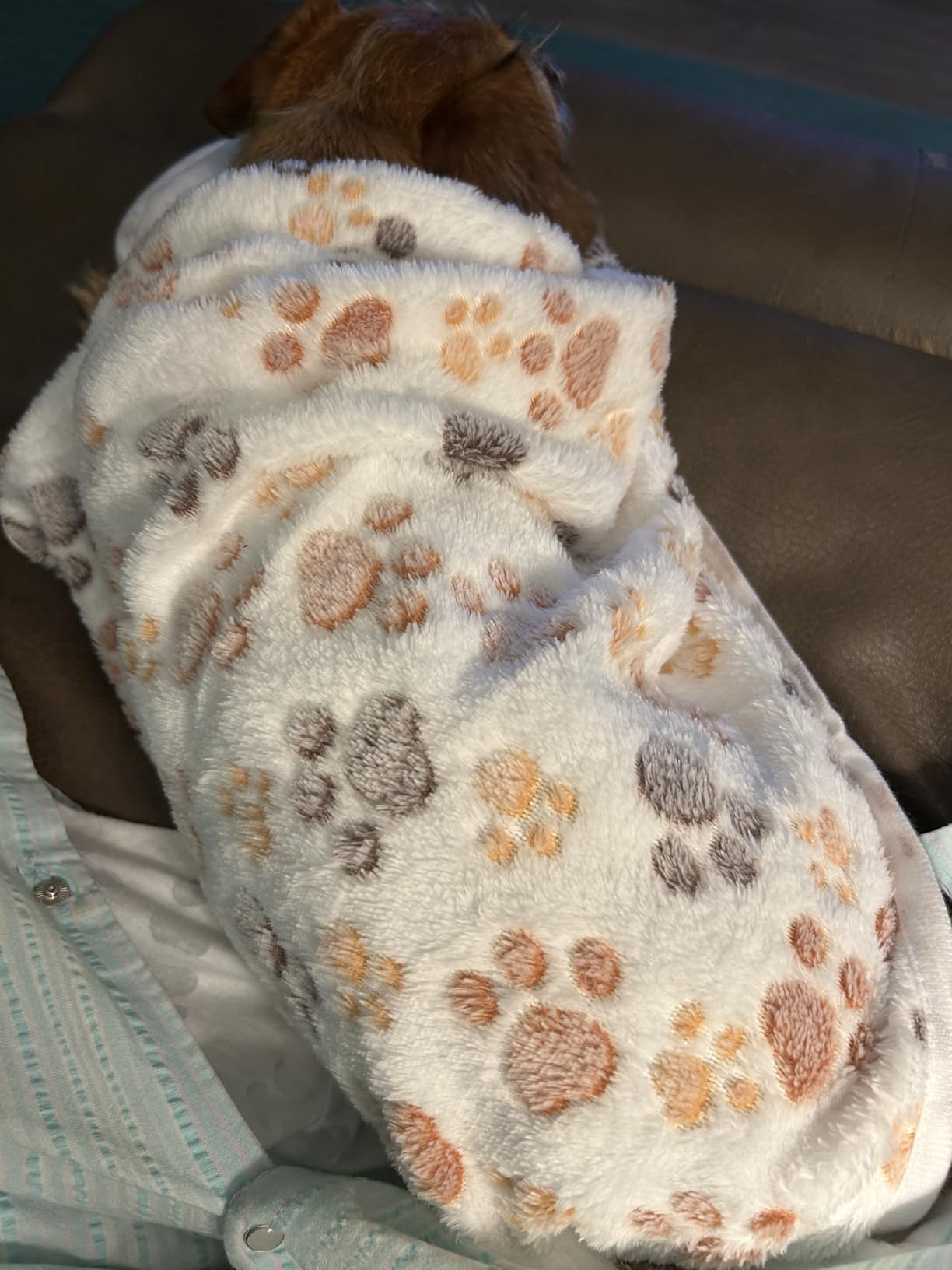 Luciphia 1 Pack 3 Blankets Super Soft Fluffy Premium Fleece Pet Blanket Flannel Throw for Dog Puppy Cat Paw Brown/Pink/White Medium (30x20 inch) customer photo 1