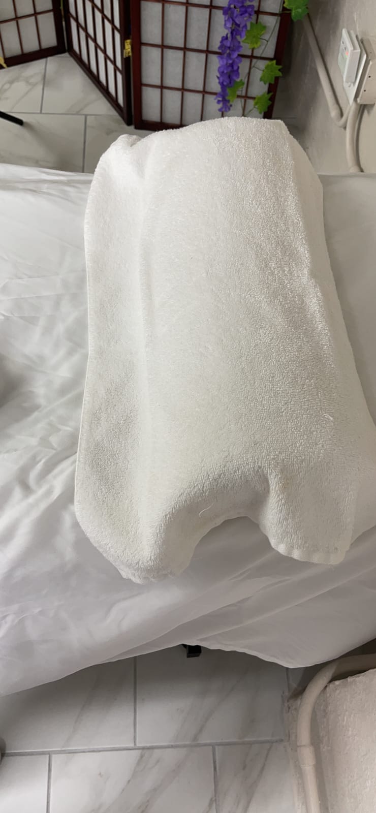 ComfiLife Knee Pillow for Back Sleeping - 100% Memory Foam Bolster Pillow for Legs - Under Knee Pillow for Sleeping on Back - Leg & Hip Pain Relief for Side Sleepers - Half Moon Pillow customer photo 2