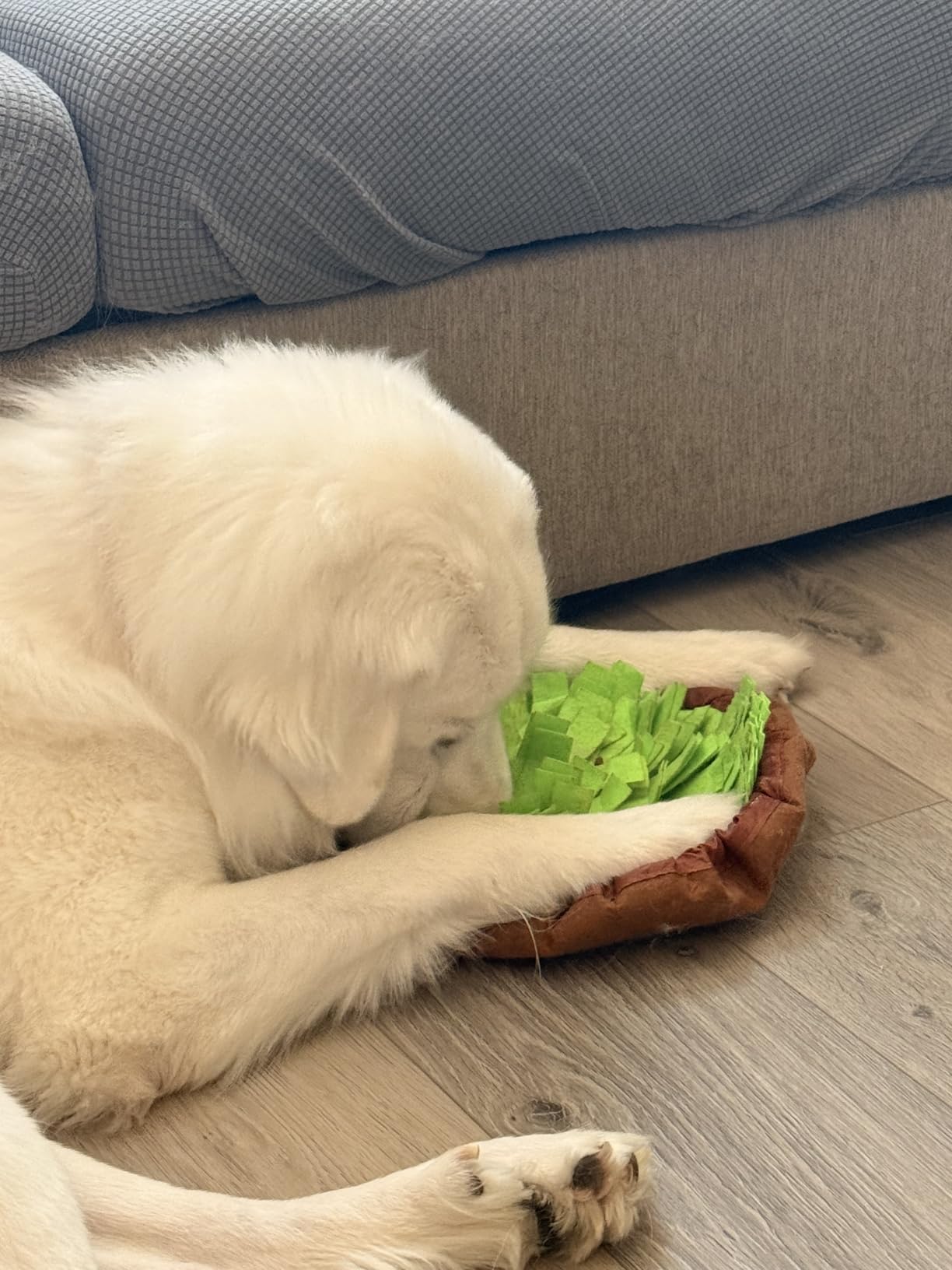 AWOOF Pet Snuffle Mat for Dogs, Interactive Feed Game for Boredom, Encourages Natural Foraging Skills for Cats Dogs Bowl Travel Use, Dog Treat Dispenser Indoor Outdoor Stress Relief customer photo 1