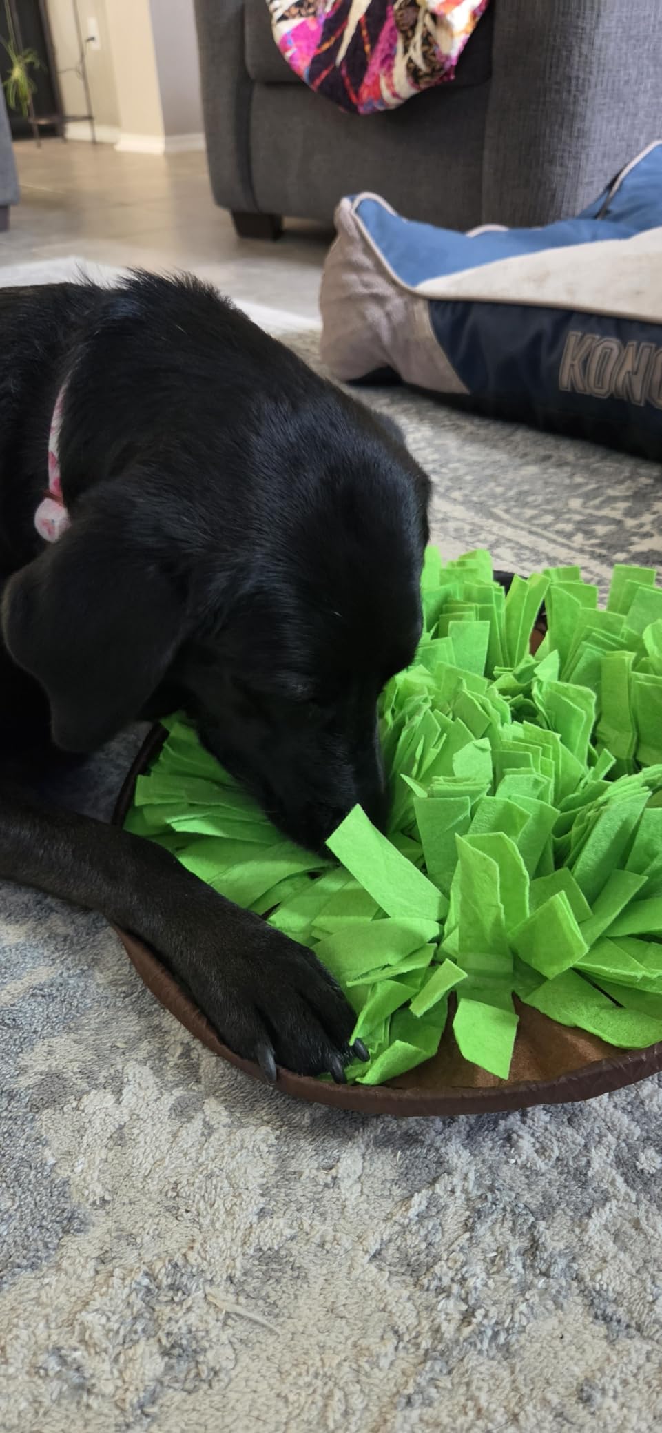 AWOOF Pet Snuffle Mat for Dogs, Interactive Feed Game for Boredom, Encourages Natural Foraging Skills for Cats Dogs Bowl Travel Use, Dog Treat Dispenser Indoor Outdoor Stress Relief customer photo 2