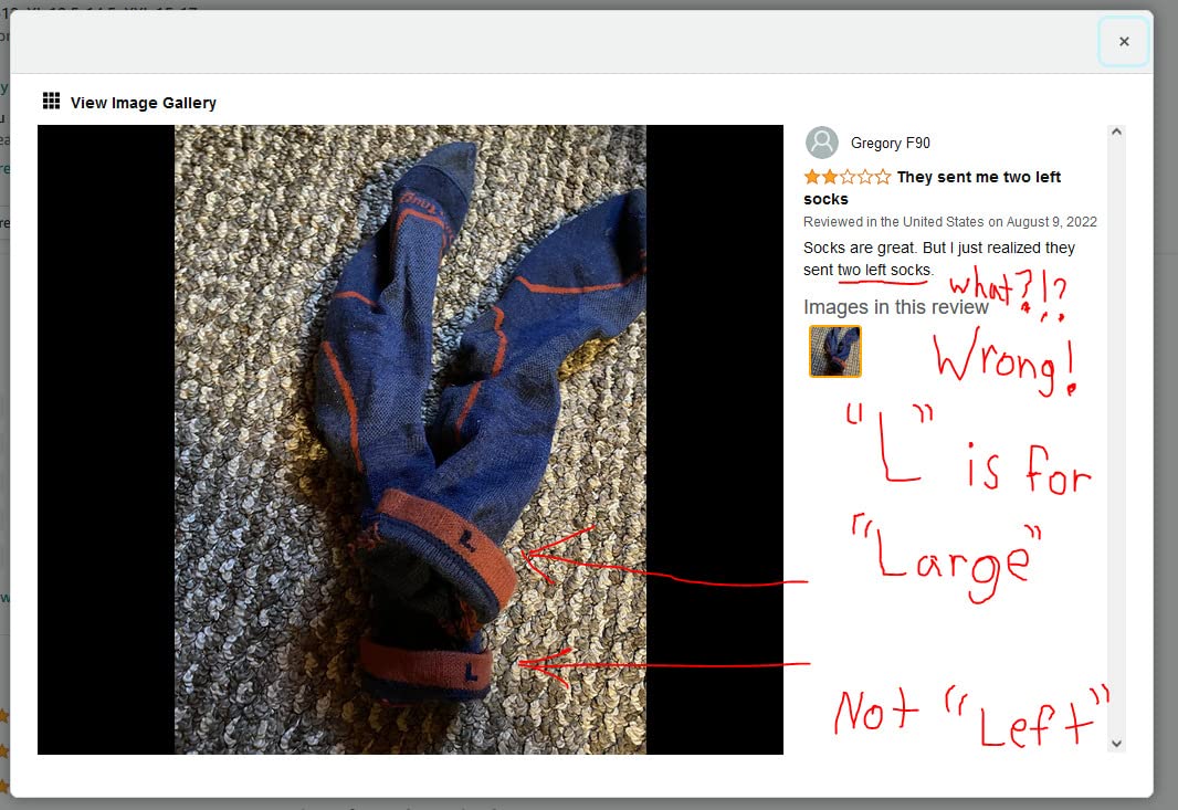Darn Tough Men's Light Hiker Micro Crew Lightweight Hiking Socks (Style 1972) customer photo 2