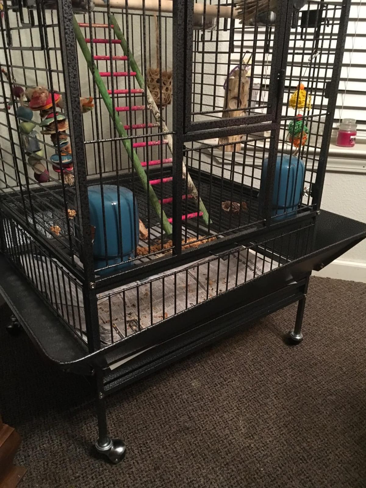 Yaheetech 63'' Bird Cage with Stand Wrought Iron Rolling Open Play Top Large Bird Cage for Mini Macaw African Grey Amazon Parrot customer photo 1