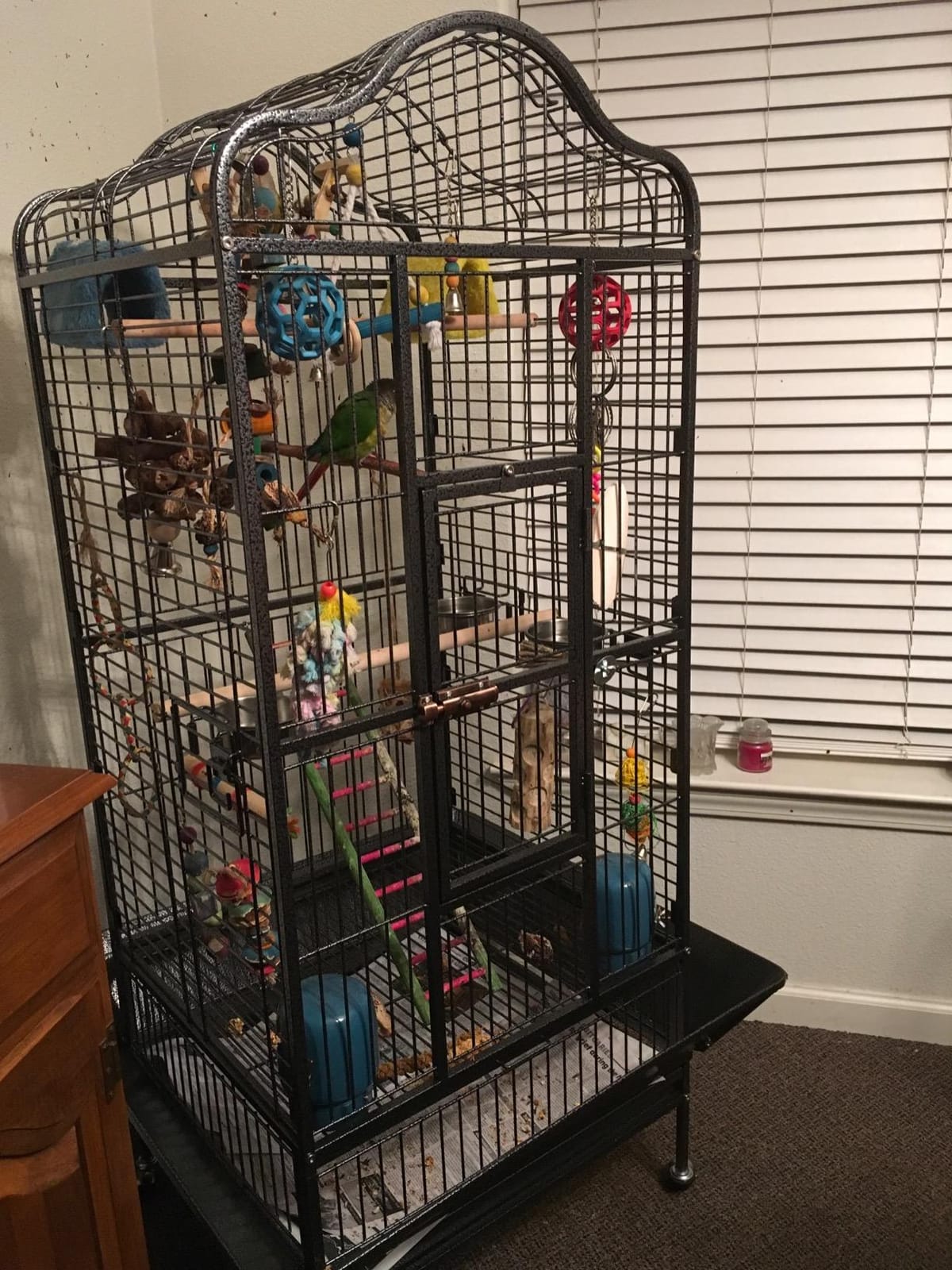Yaheetech 63'' Bird Cage with Stand Wrought Iron Rolling Open Play Top Large Bird Cage for Mini Macaw African Grey Amazon Parrot customer photo 2