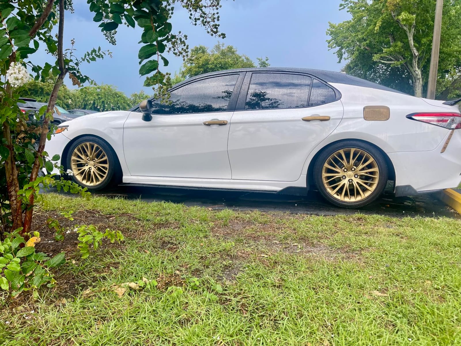 D2 PRO Lowering Springs for 2018+ Camry FWD 2.0