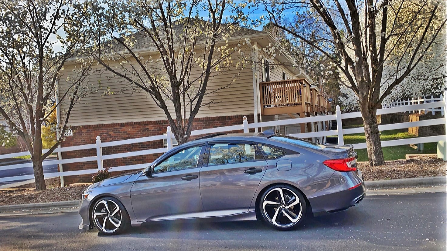 D2 PRO Lowering Springs 2.0